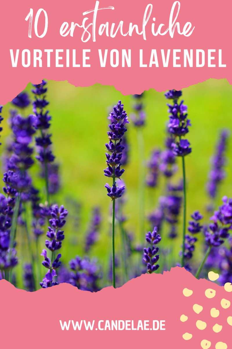 Handgemachte Lavendel-Duftkerze für Entspannung und Wohlbefinden mit 10 Lavendel Vorteilen