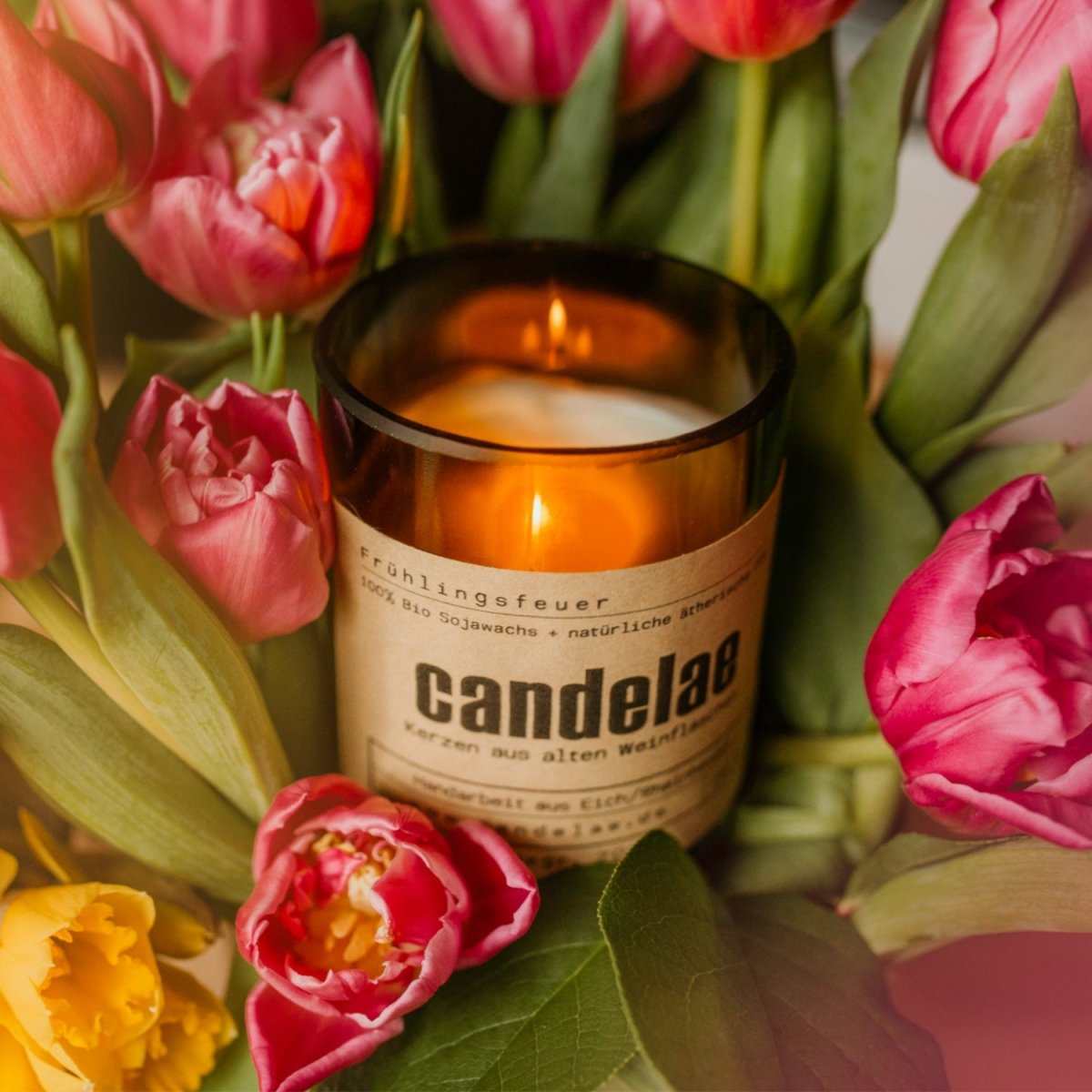 Frühjahr Sommer Kollektion neue Kerzen mit verschiedenen Duftrichtungen in modernem Design