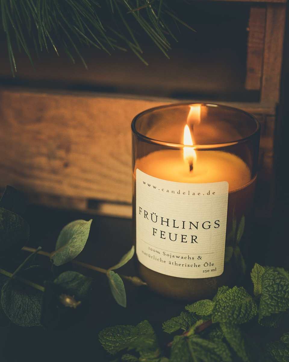 Frühlingsfeuer Duftkerze von Candelae aus nachhaltigem Sojawachs mit Eukalyptus und Orange Duft