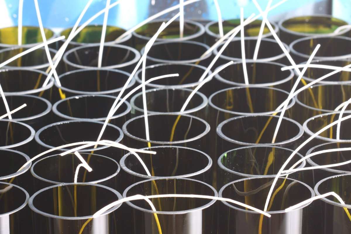 Natürliche Duftkerzen aus Sojawachs in recycelten Weinflaschen mit ätherischen Ölen von candelae