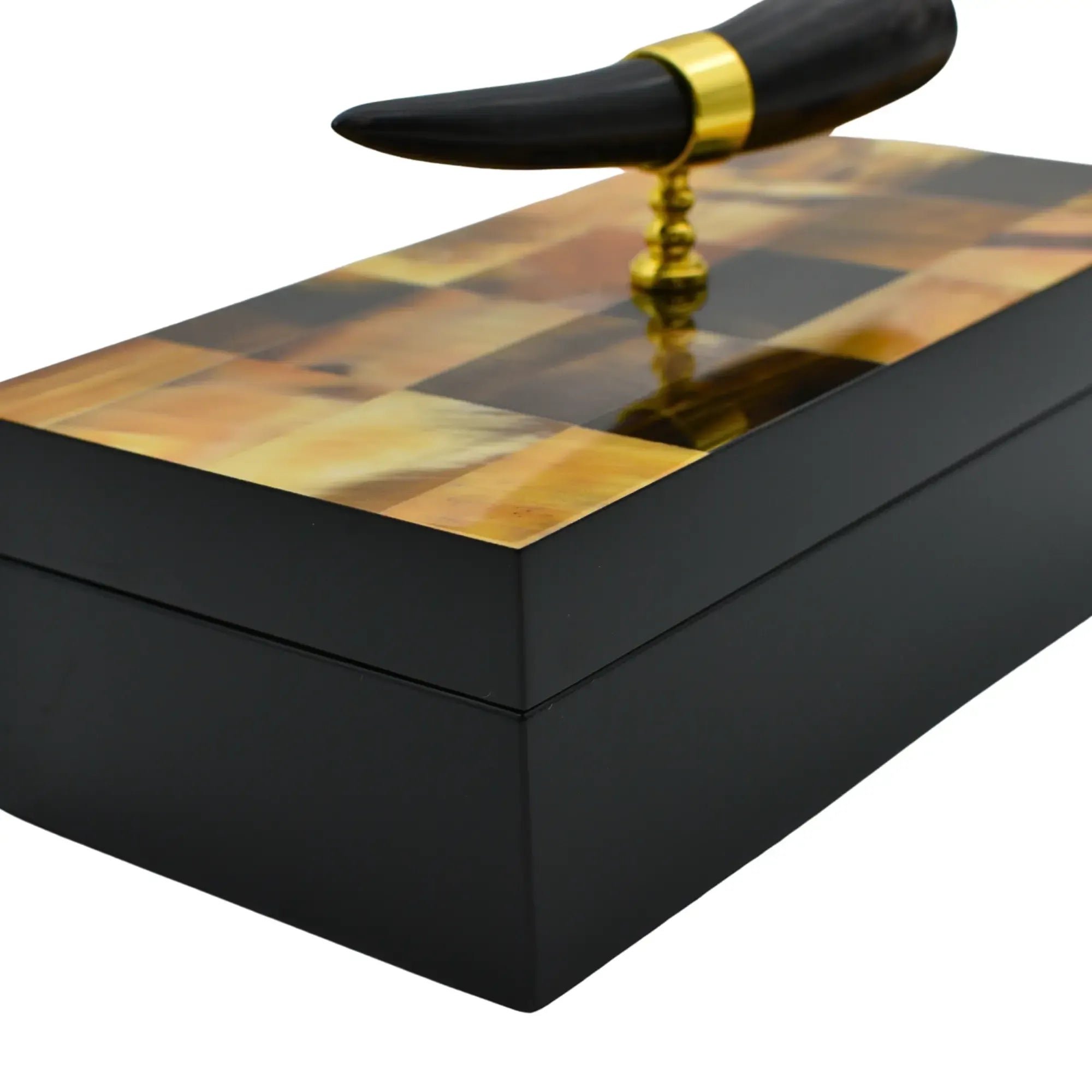 Holzkästchen - rechteckig mit Deckel - Design Aufbewahrungsbox Horn-Deko Schmuckkasten Evidenza