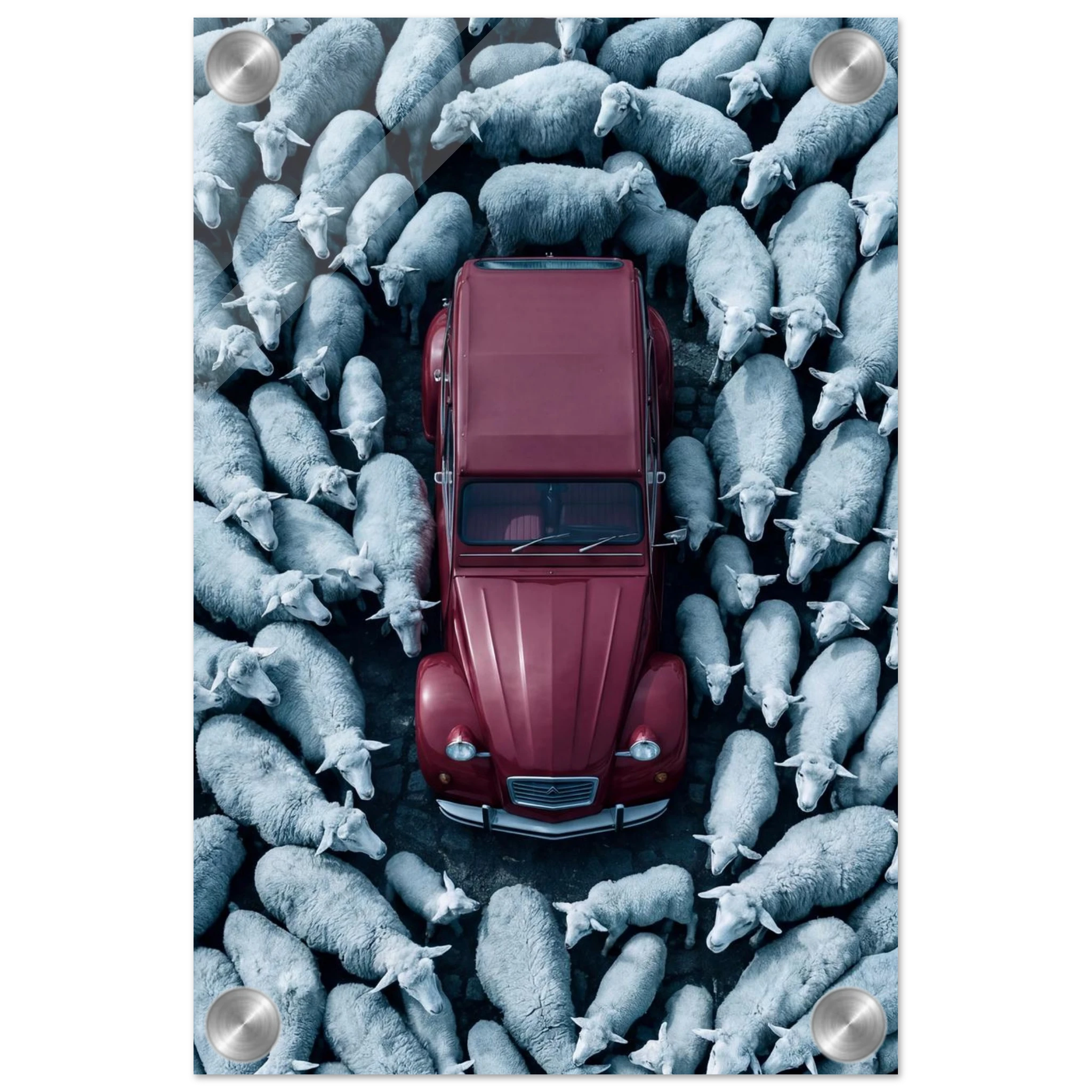 87e1a3b1-0758-4202-b31e-8837a982d42e