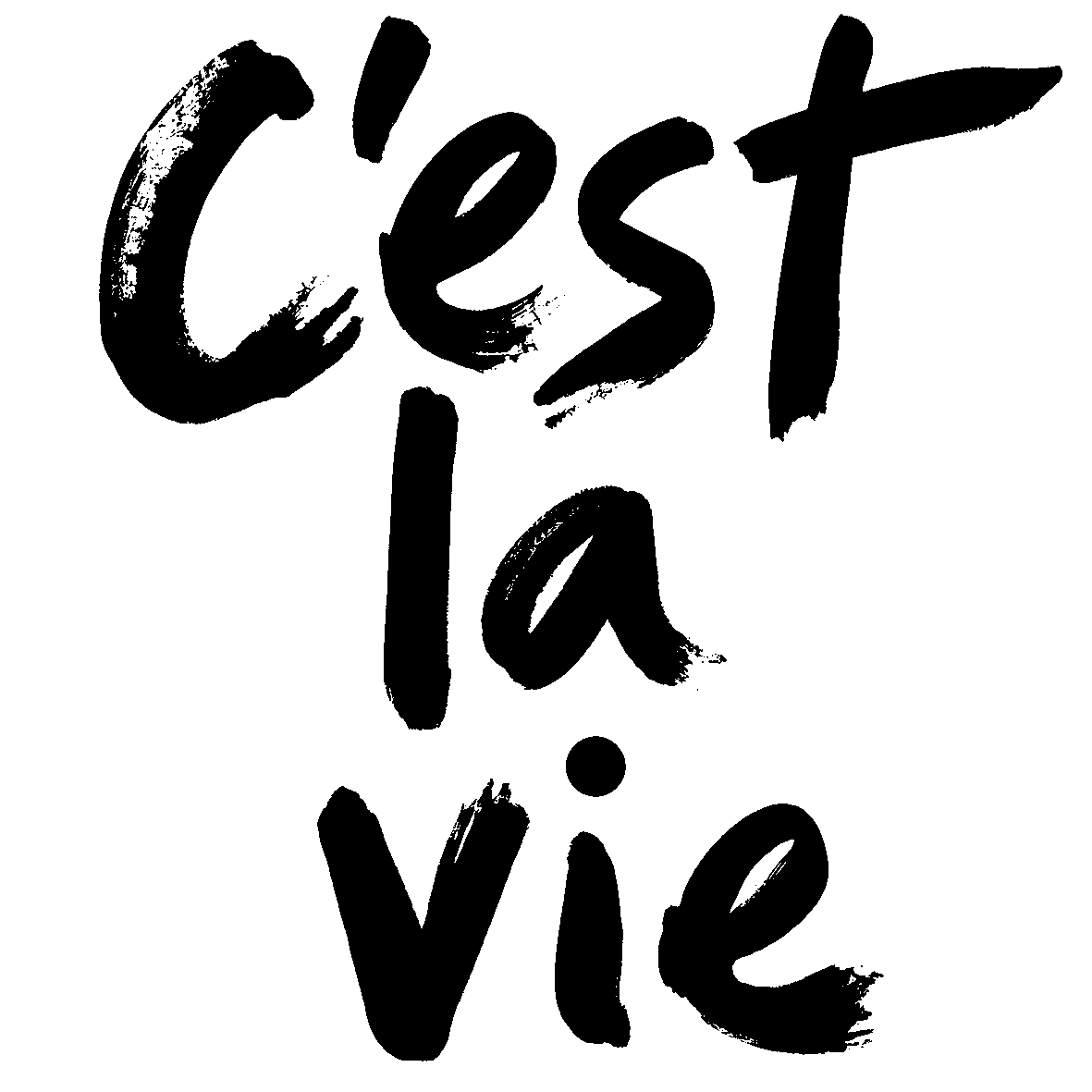 Schwarzer Schriftzug „C’est la vie“ in expressiver handgemalter Pinselschrift auf hellem Grund