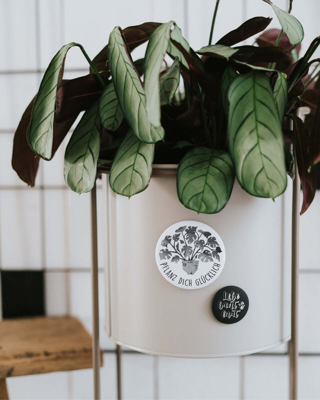 Pflanz dich glücklich · Magnet · groß