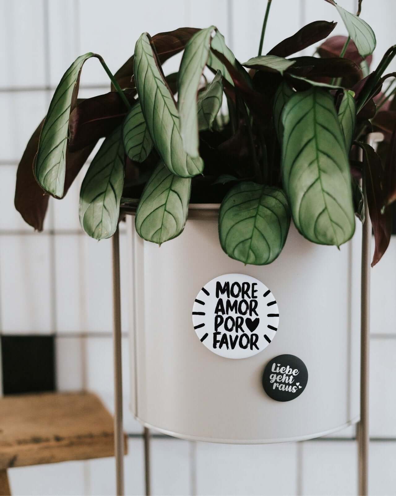 More amor · Magnet · groß