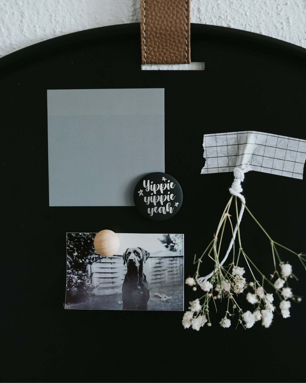 Yippie yeah · Magnet · klein