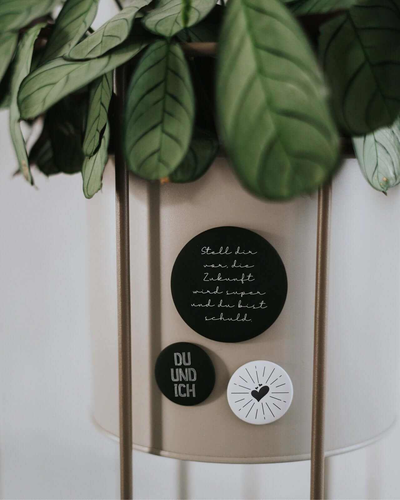 Die Zukunft wird super · Magnet · groß