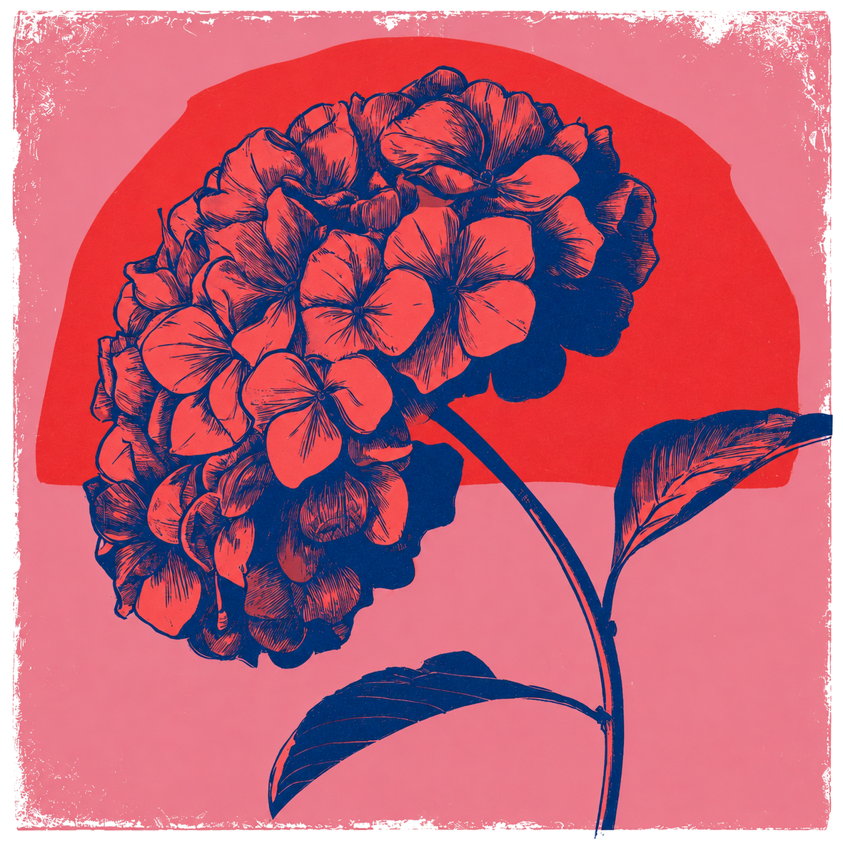 Grafisches Hortensienmotiv in Korallrosa und Dunkelblau vor großer korallroter Farbfläche auf roséfarbenem Grund