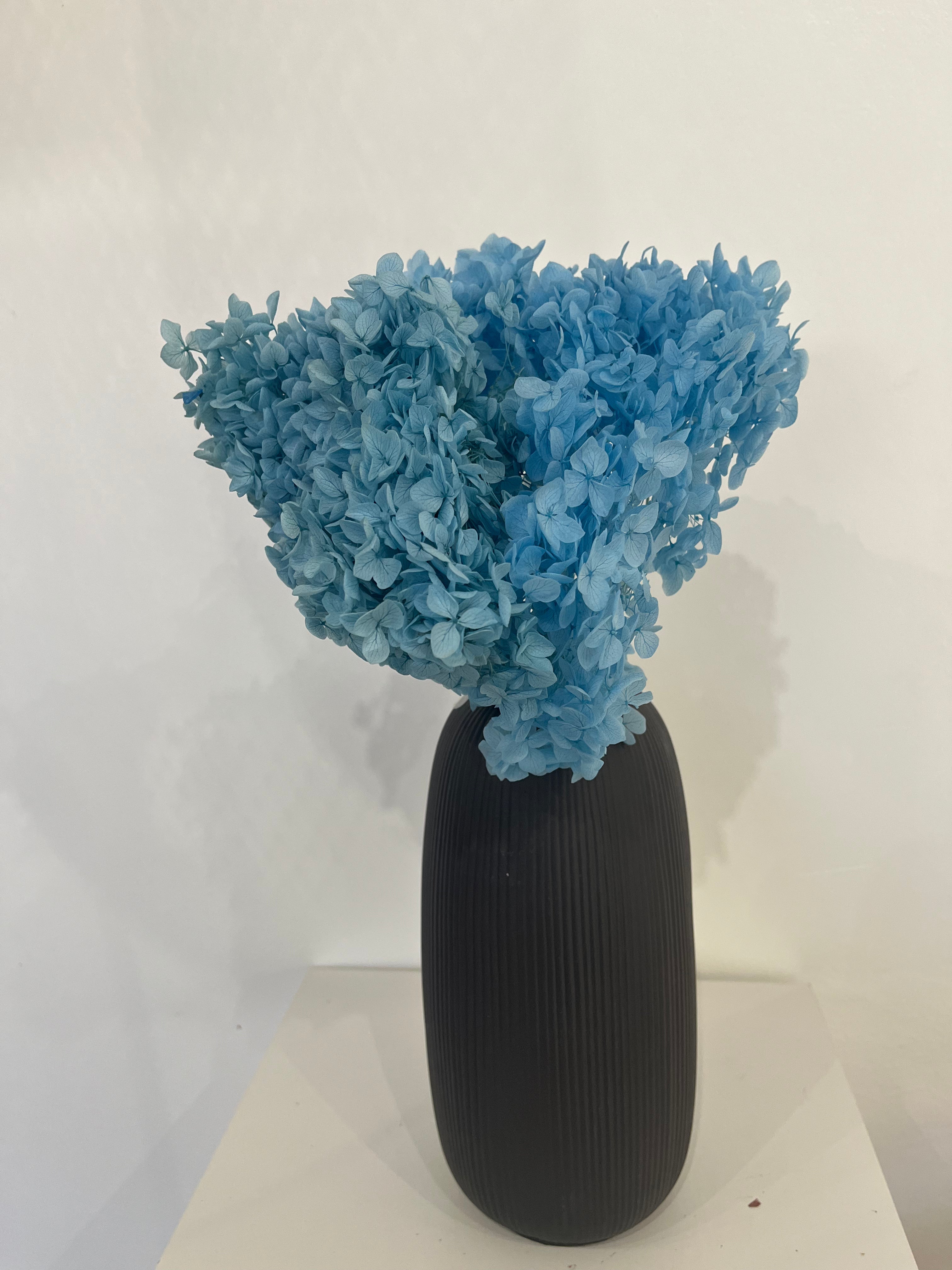 Rispenhortensie: Zeitlose Schönheit, konservierte Hortensien als perfekte Dekoration