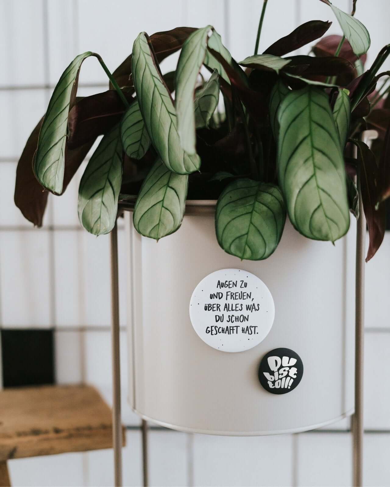 Du bist toll · Magnet · klein