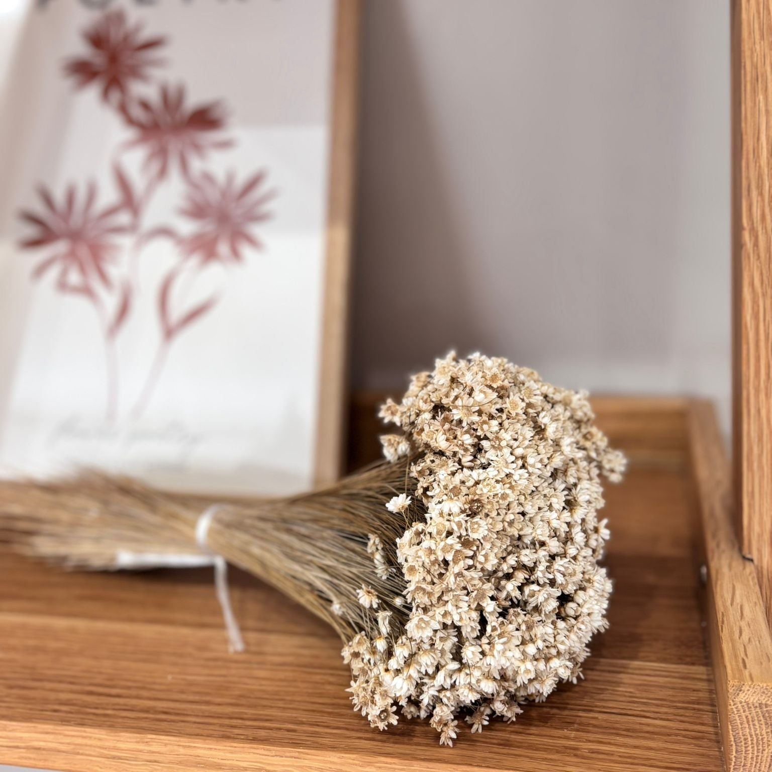 Glixia in cremeweiss - Outlet