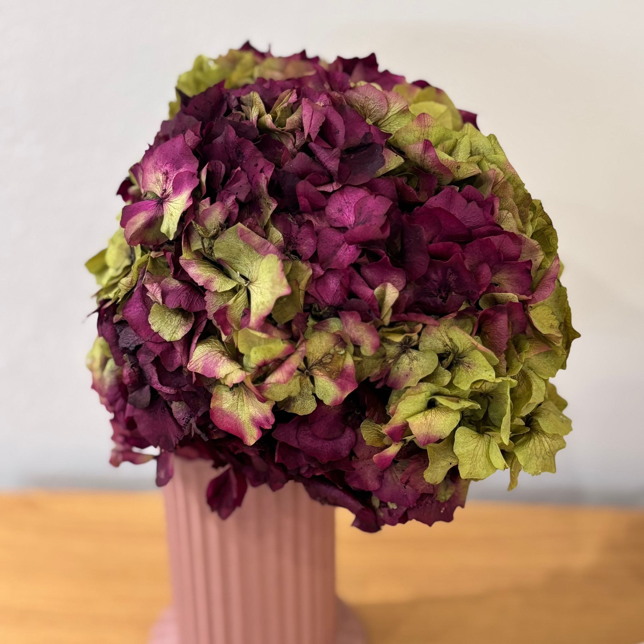 Hortensie: Zeitlose Schönheit, konservierte Hortensien als perfekte Dekoration