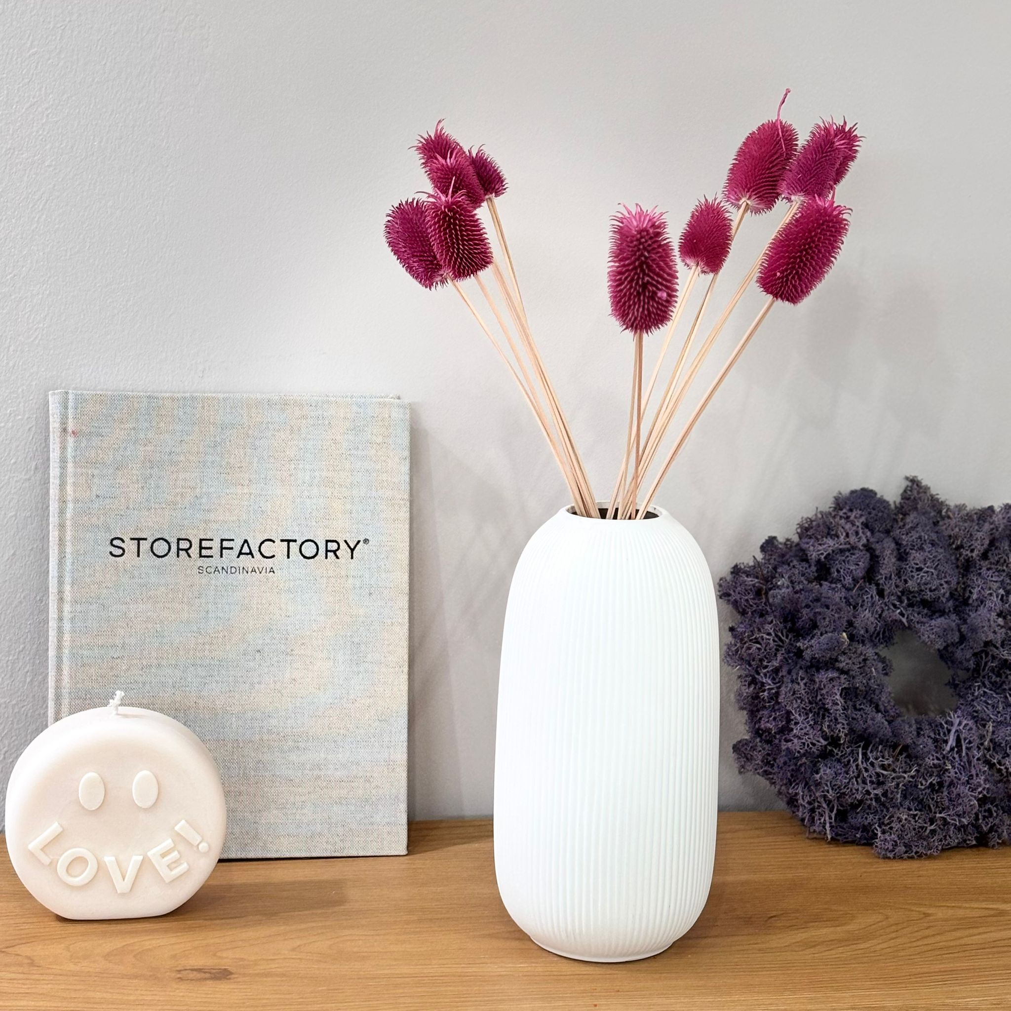 Getrocknete Distel - Cardi