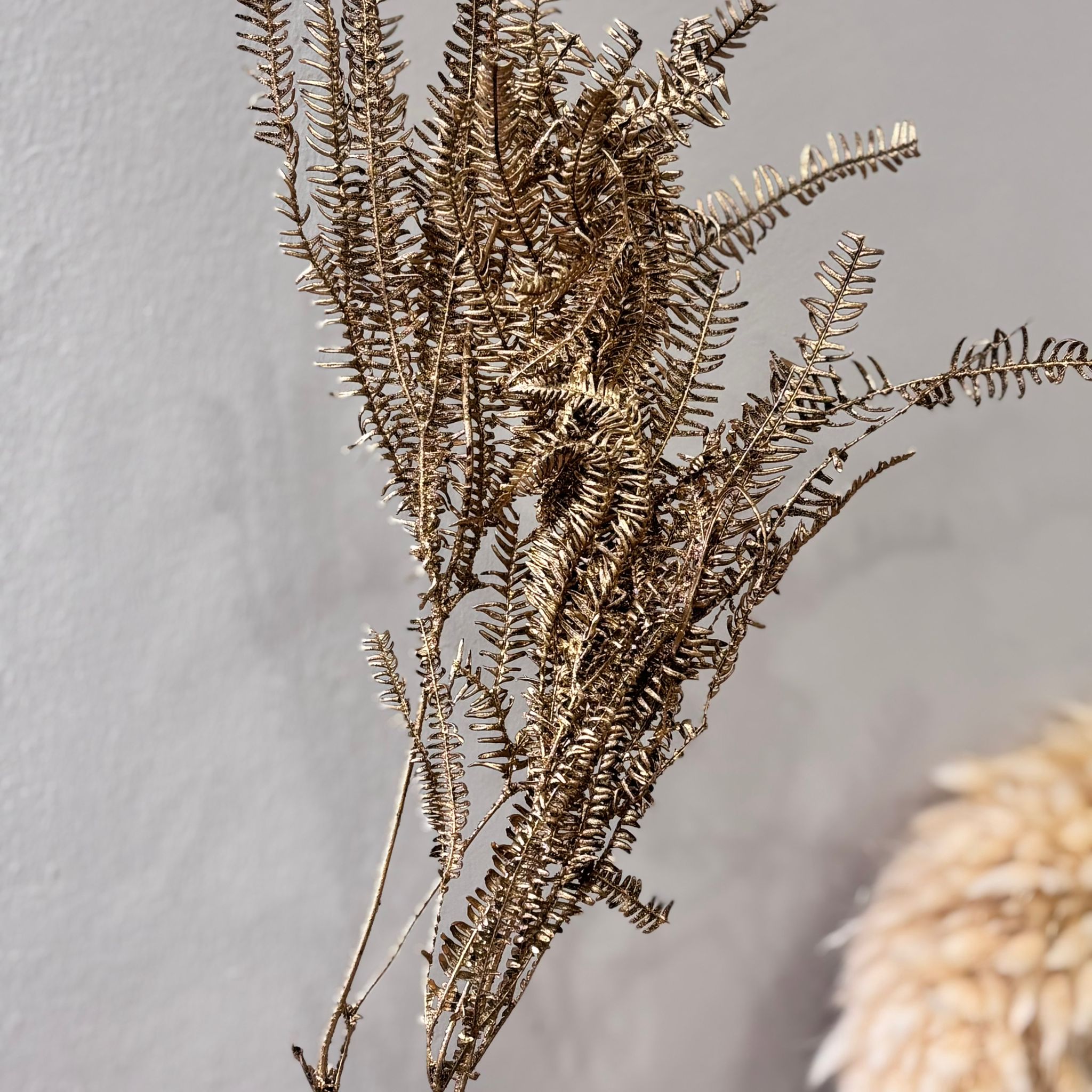 Konservierter Farn: Zauberhafte Momente für Dein Zuhause