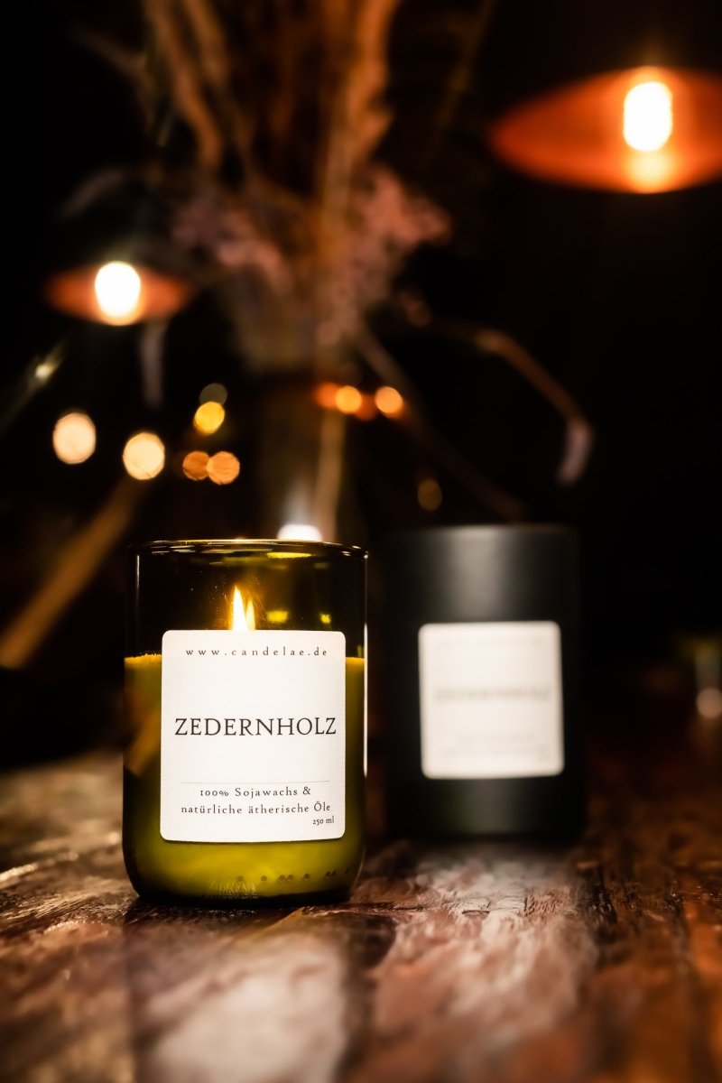 Zedernholz Duftkerze aus Sojawachs in recyceltem Glas mit beruhigendem holzigem Aroma