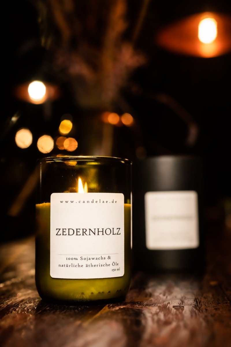 Zedernholz Duftkerze aus Sojawachs in recyceltem Glas mit holzigem, beruhigendem Aroma für Entspannung