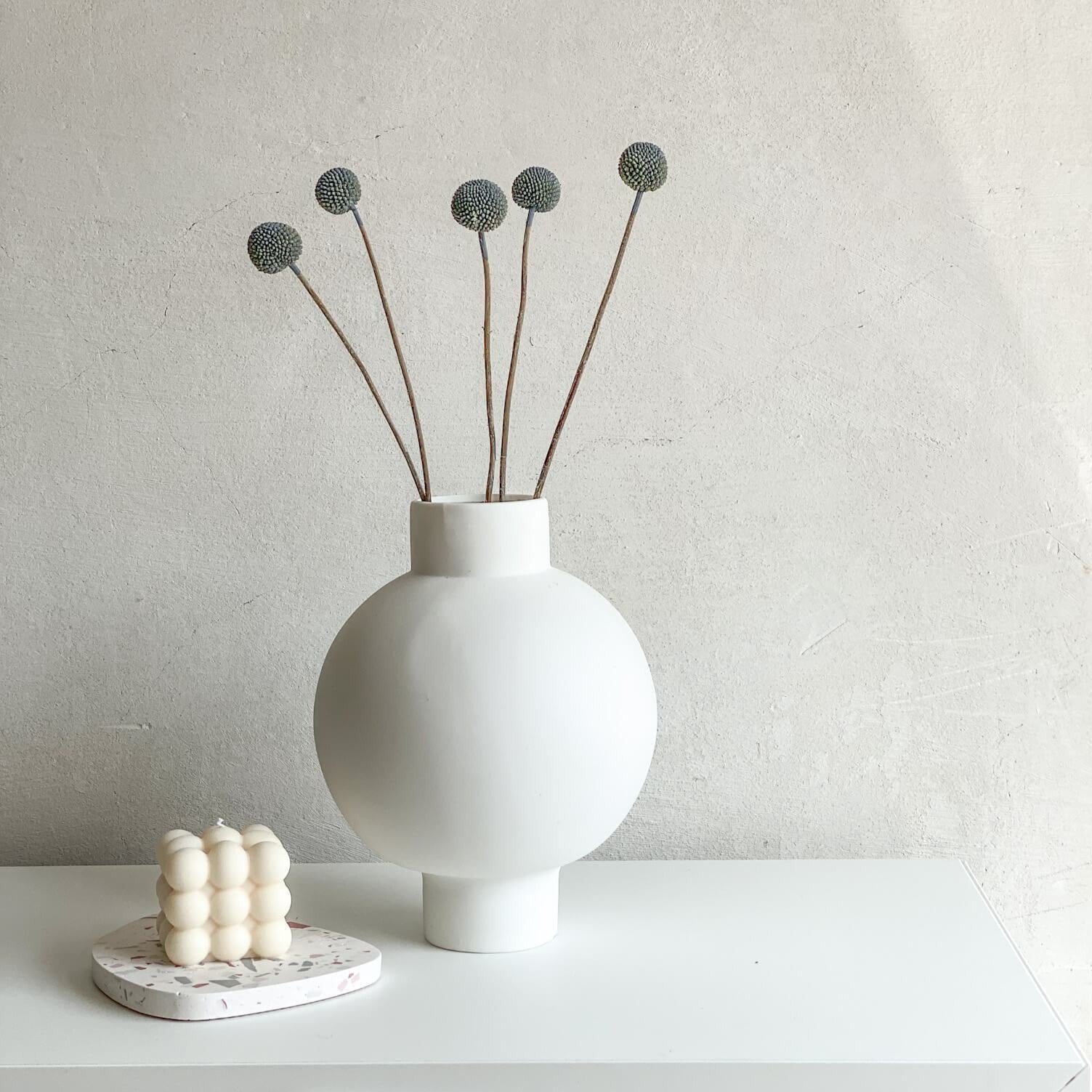 Craspedia I Trommelstöckchen