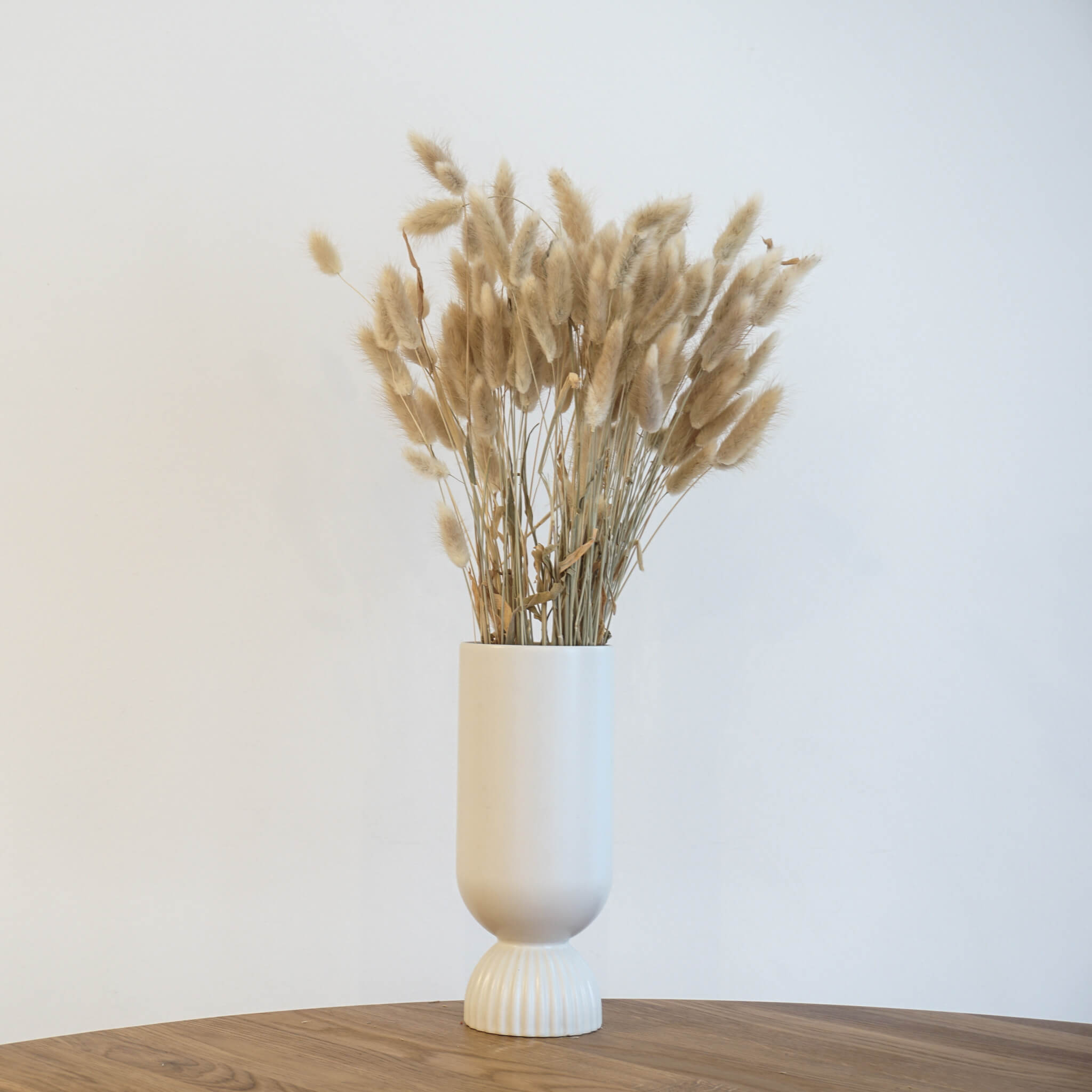 Lagurus | Samtgras | Hasenschwanz 60cm