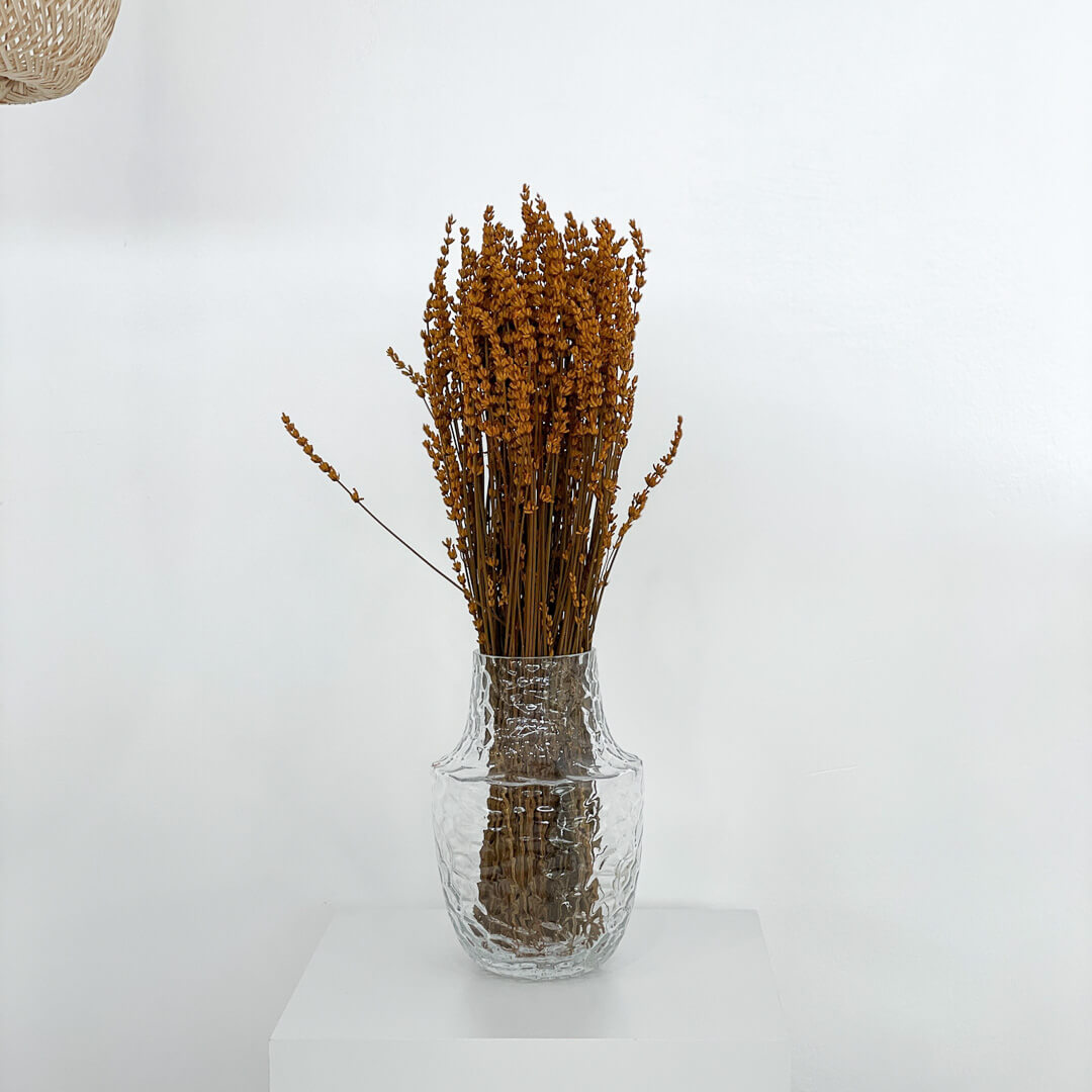 Trockenblume Lavendel