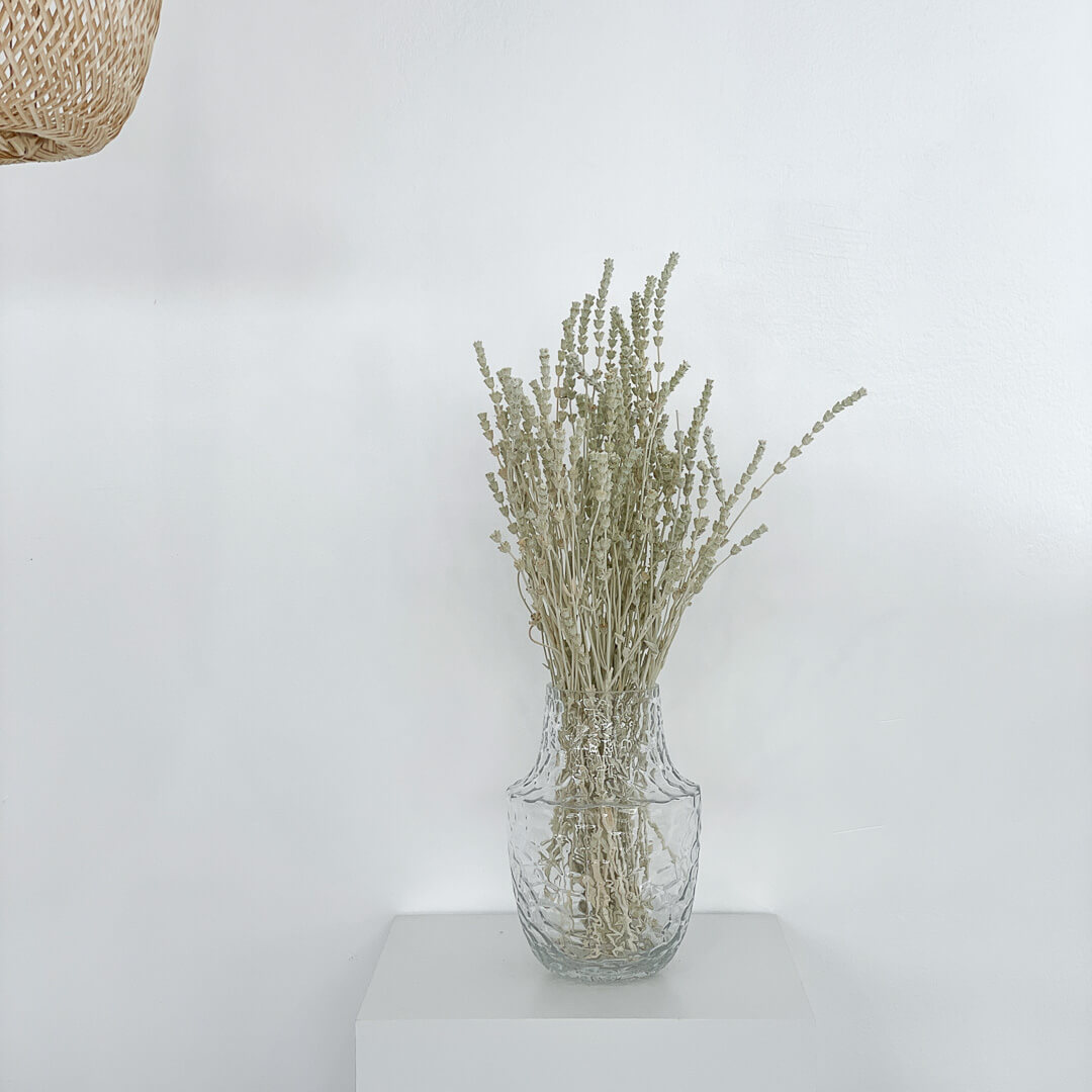 Trockenblume Lavendel