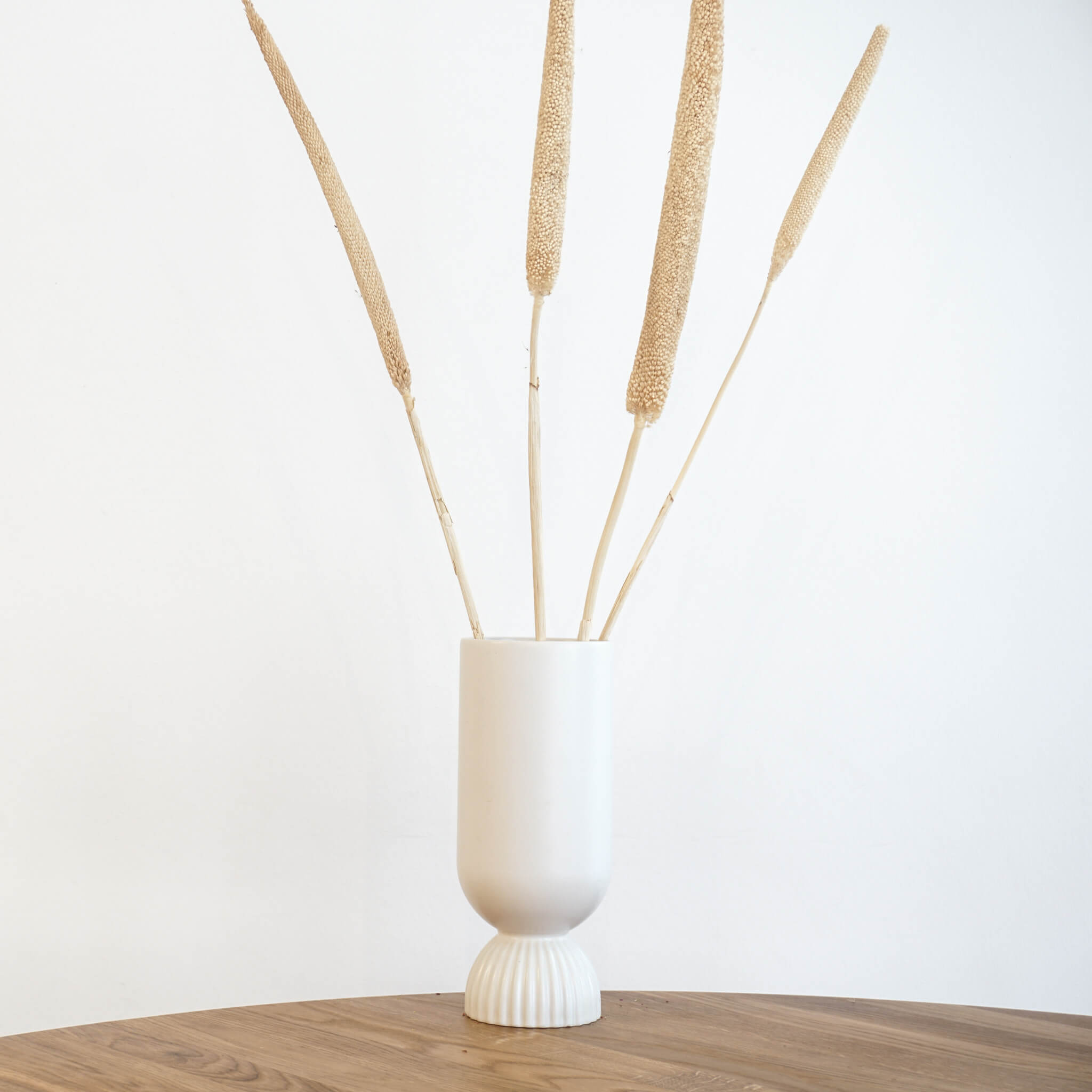 Kreatives Flair: Getrocknete Schilfkolben für Bastelprojekte und Dekorationen