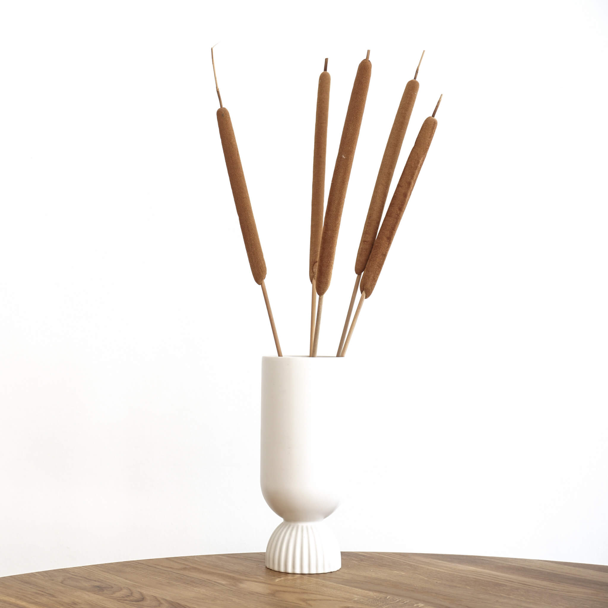 Kreatives Flair: Getrocknete Schilfkolben für Bastelprojekte und Dekorationen