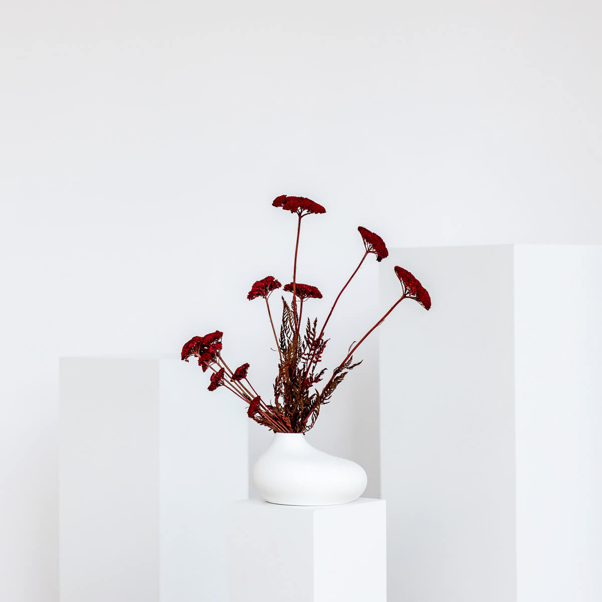 Schafgarbe getrocknet | Achillea