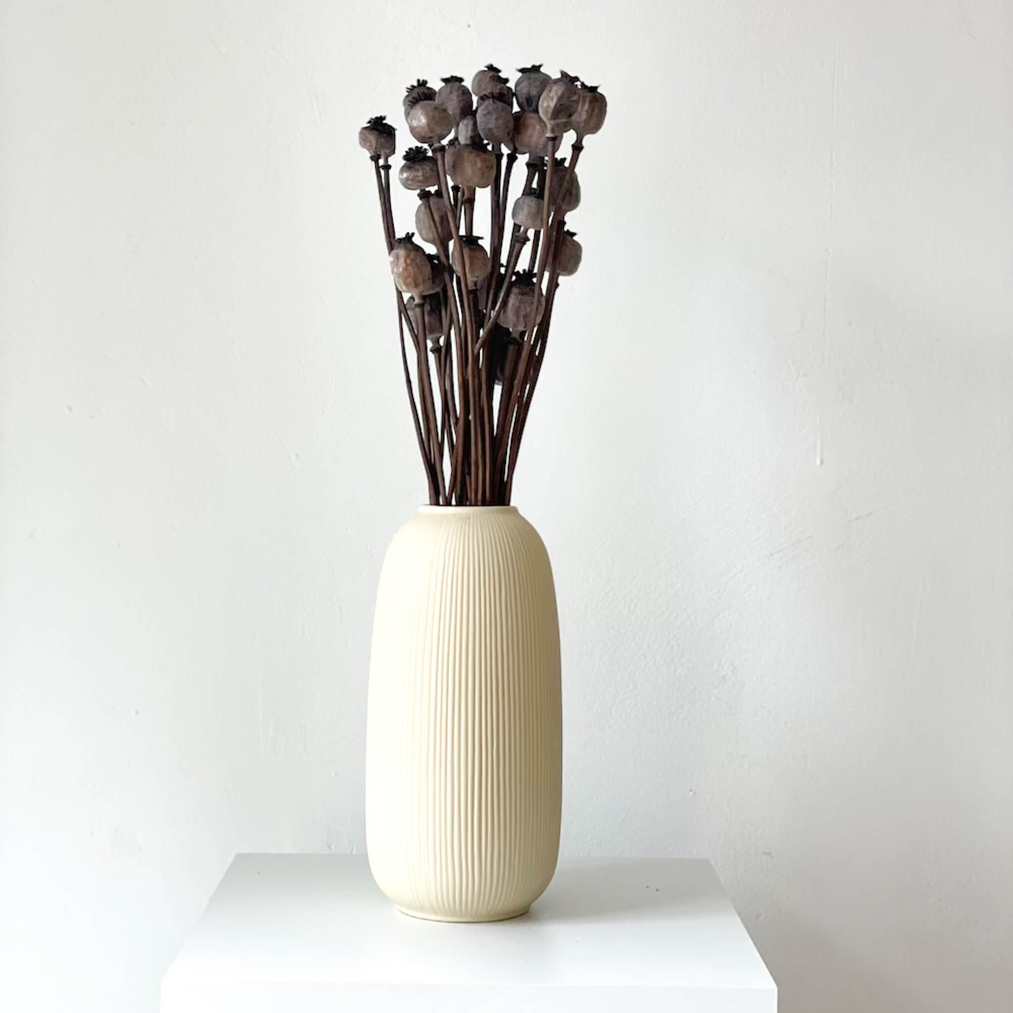 Mohnkapseln getrocknet: Lass deine Wohnung erblühen!