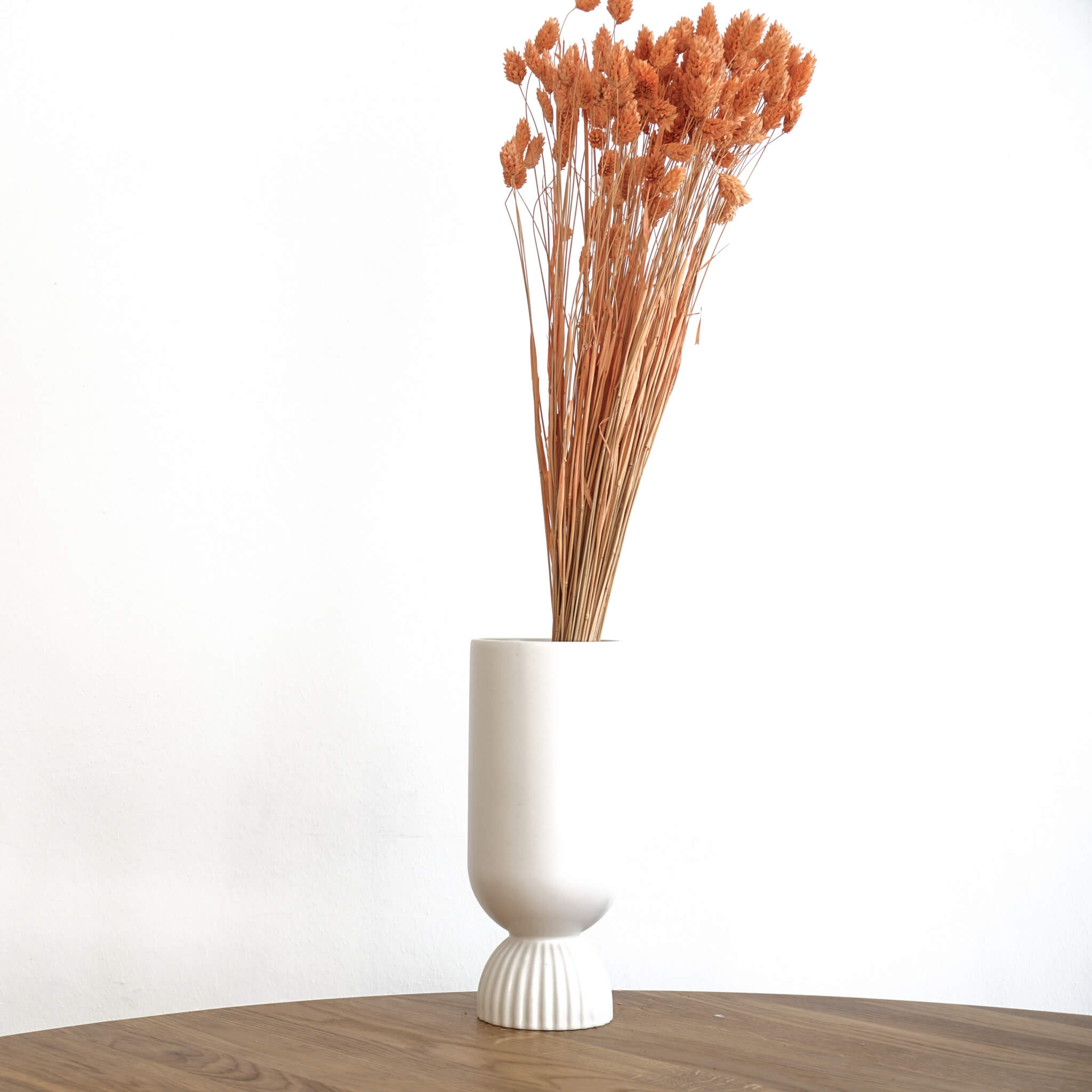 Phalaris I Kanariengras: Vielseitiger Allrounder für Deine Trockenblumen-Dekoration