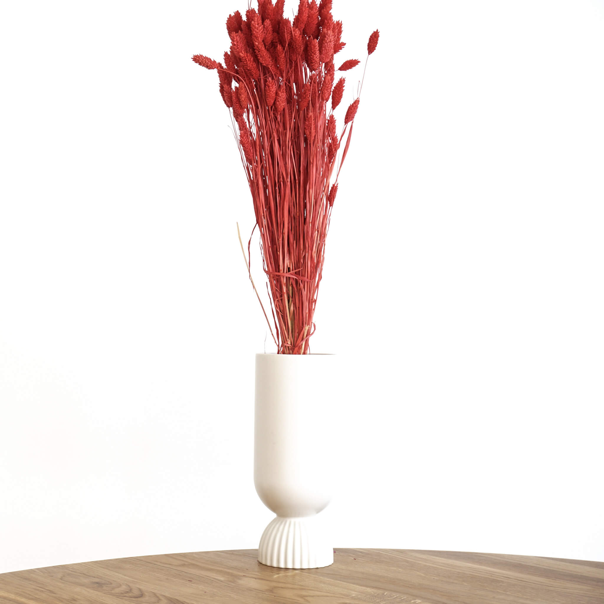 Phalaris I Kanariengras: Vielseitiger Allrounder für Deine Trockenblumen-Dekoration