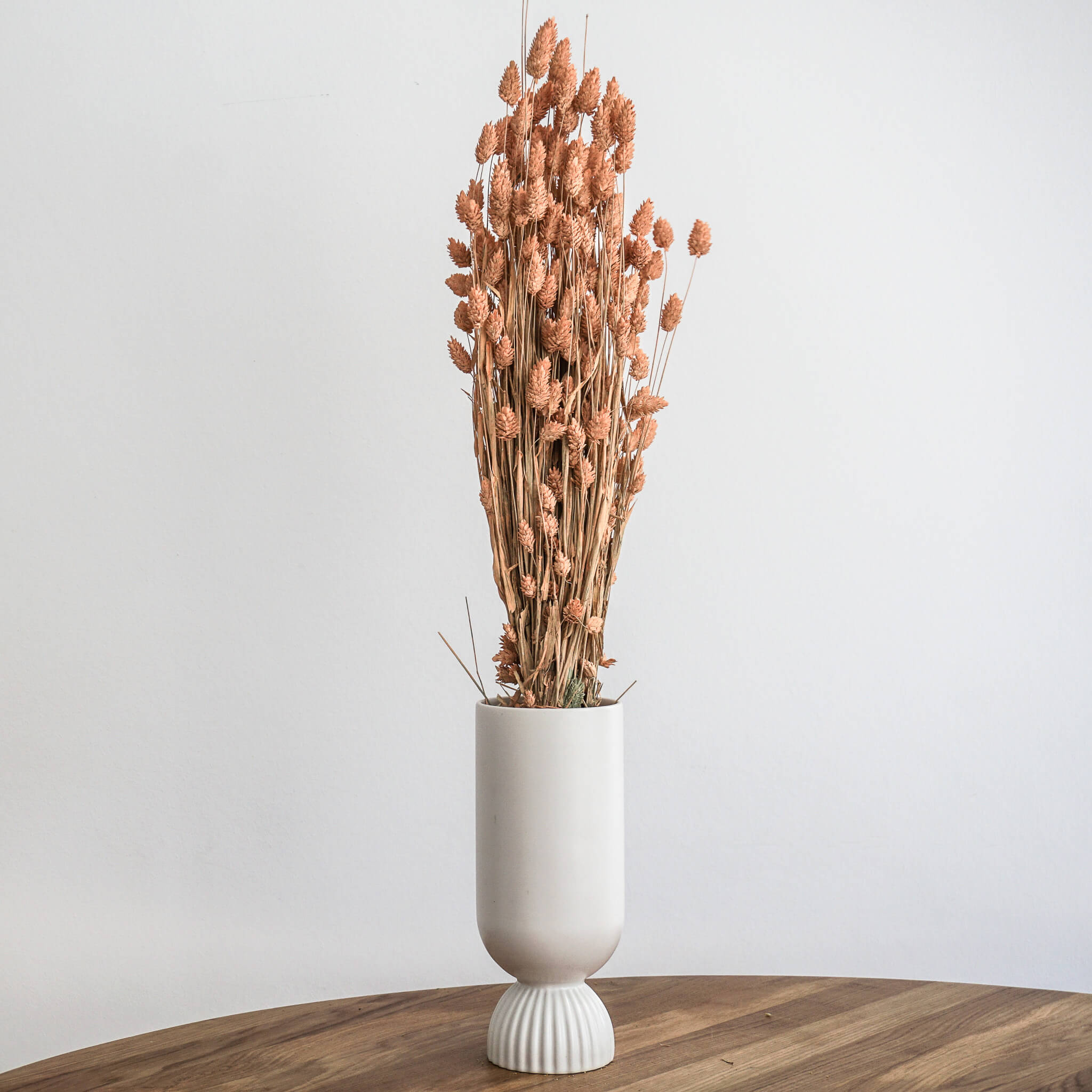 Phalaris I Kanariengras: Vielseitiger Allrounder für Deine Trockenblumen-Dekoration