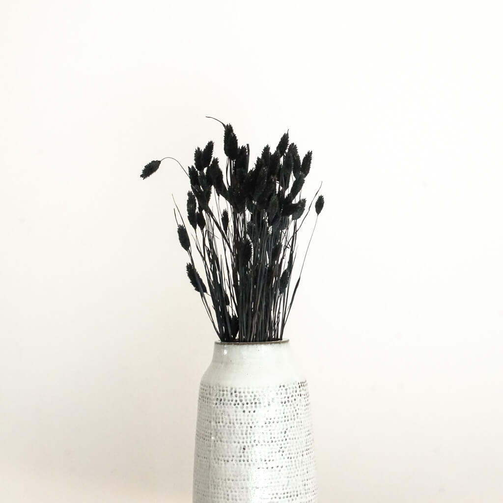 Phalaris I Kanariengras: Vielseitiger Allrounder für Deine Trockenblumen-Dekoration