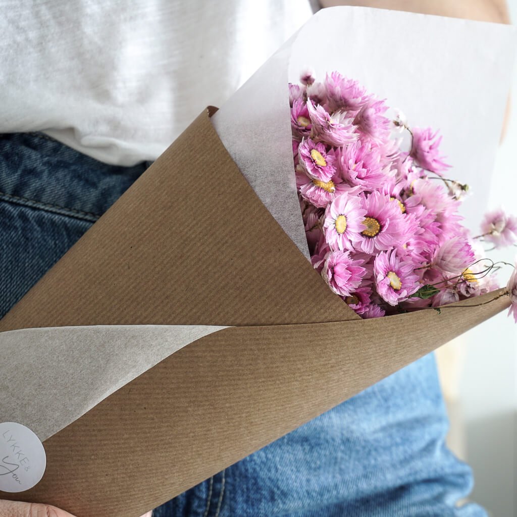 Rodanthe | großer Bund