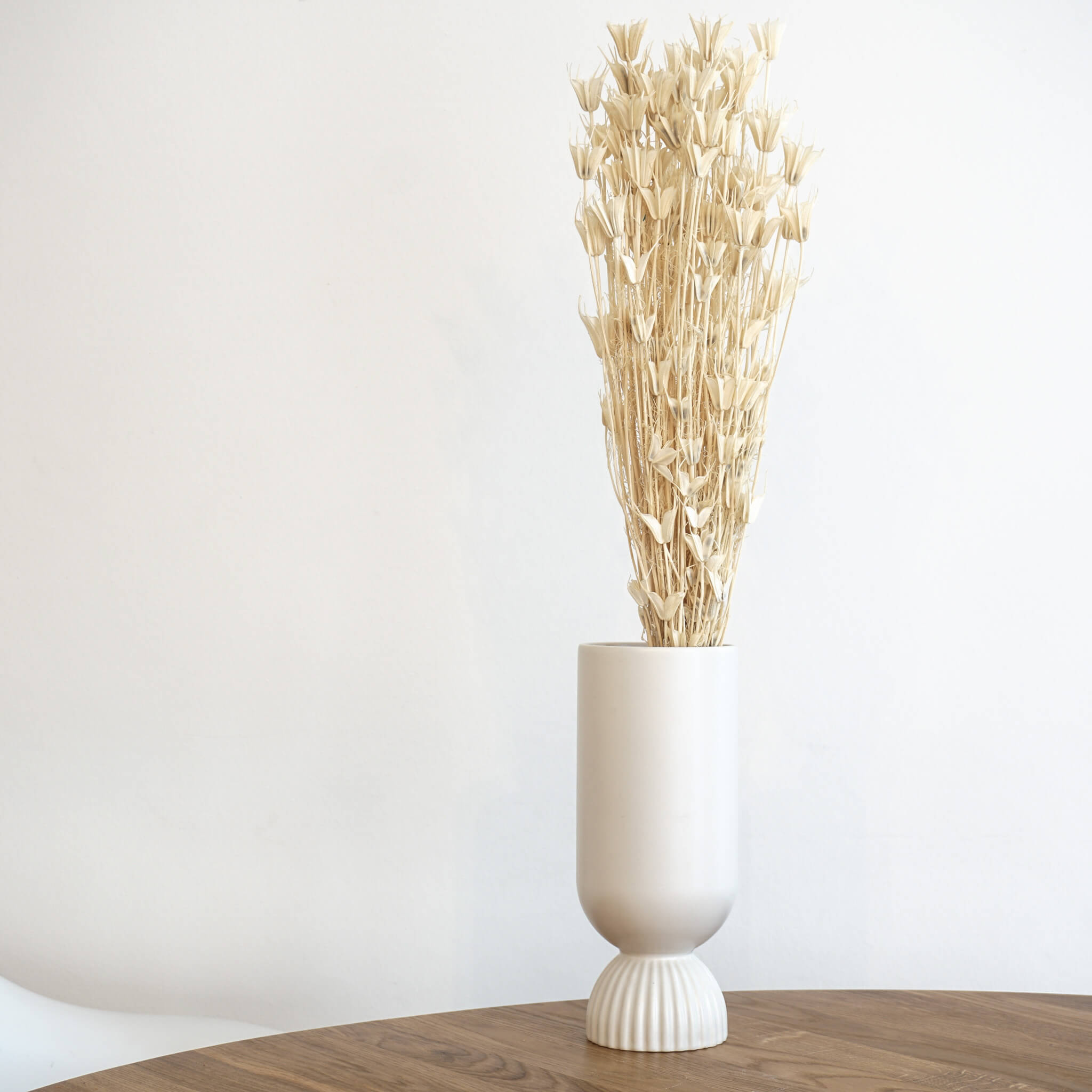 Nigella | Jungfer im Grünen | Schwarzkümmel