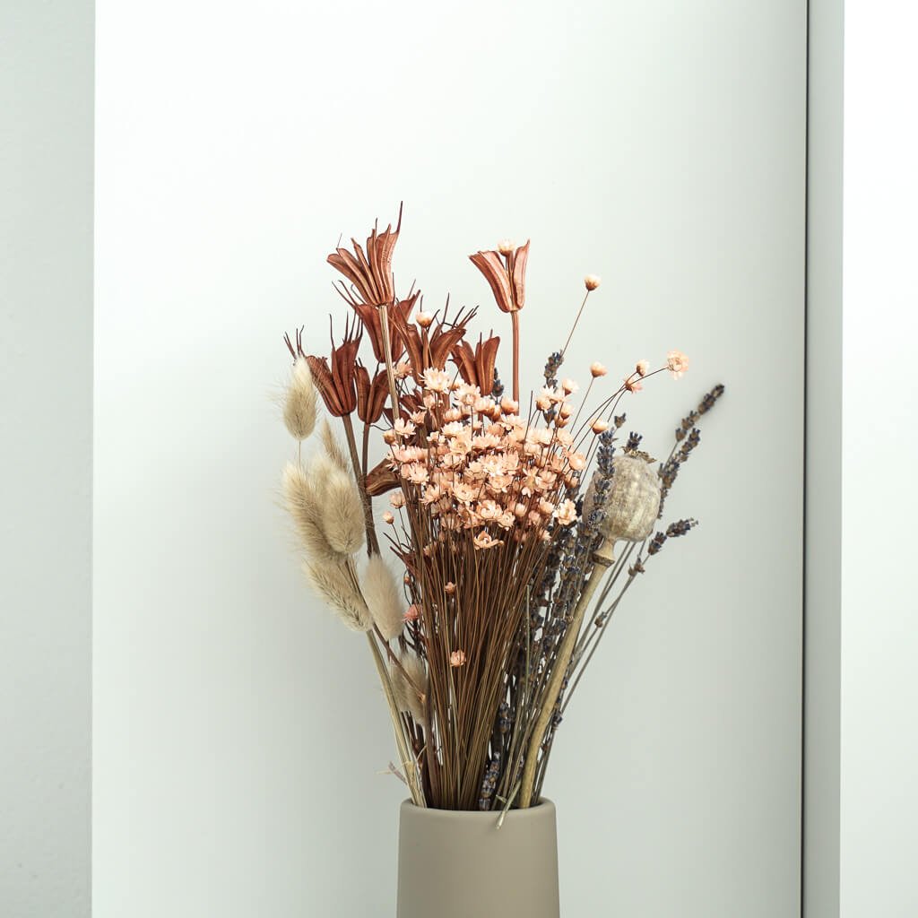 Nigella | Jungfer im Grünen | Schwarzkümmel