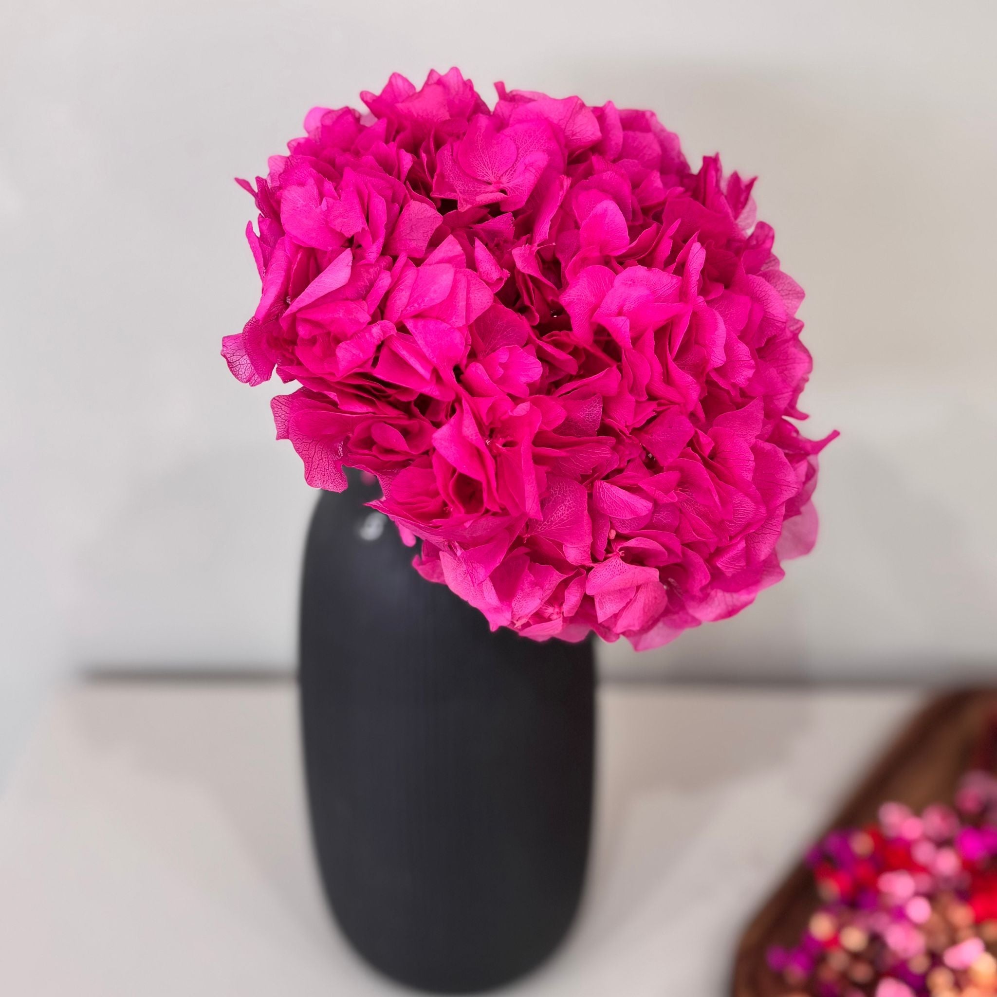 Hortensie: Zeitlose Schönheit, konservierte Hortensien als perfekte Dekoration