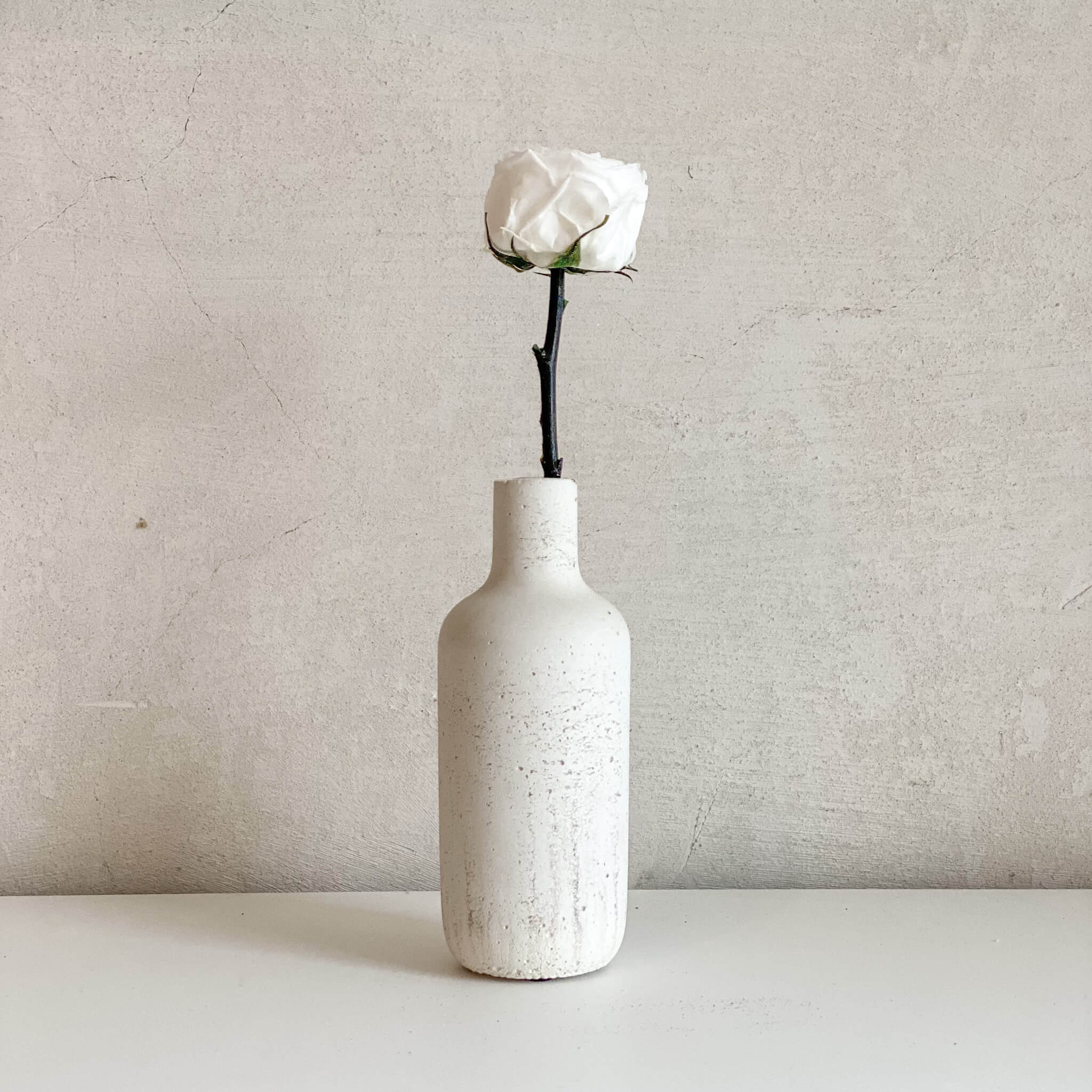 Konservierte/gefriergetrocknete, englische Rosen: Zeitlose Eleganz für die Ewigkeit