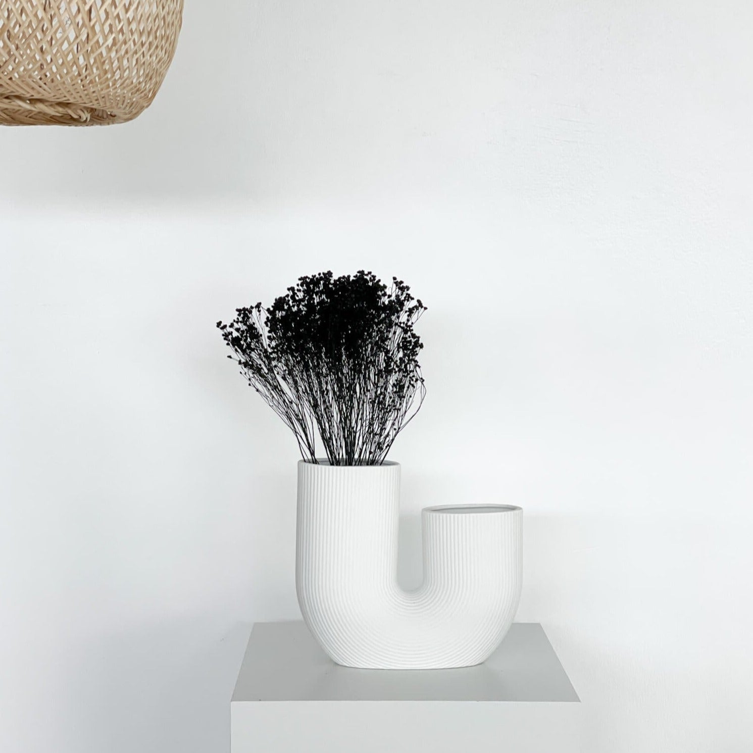 Broom Bloom - ein Bund