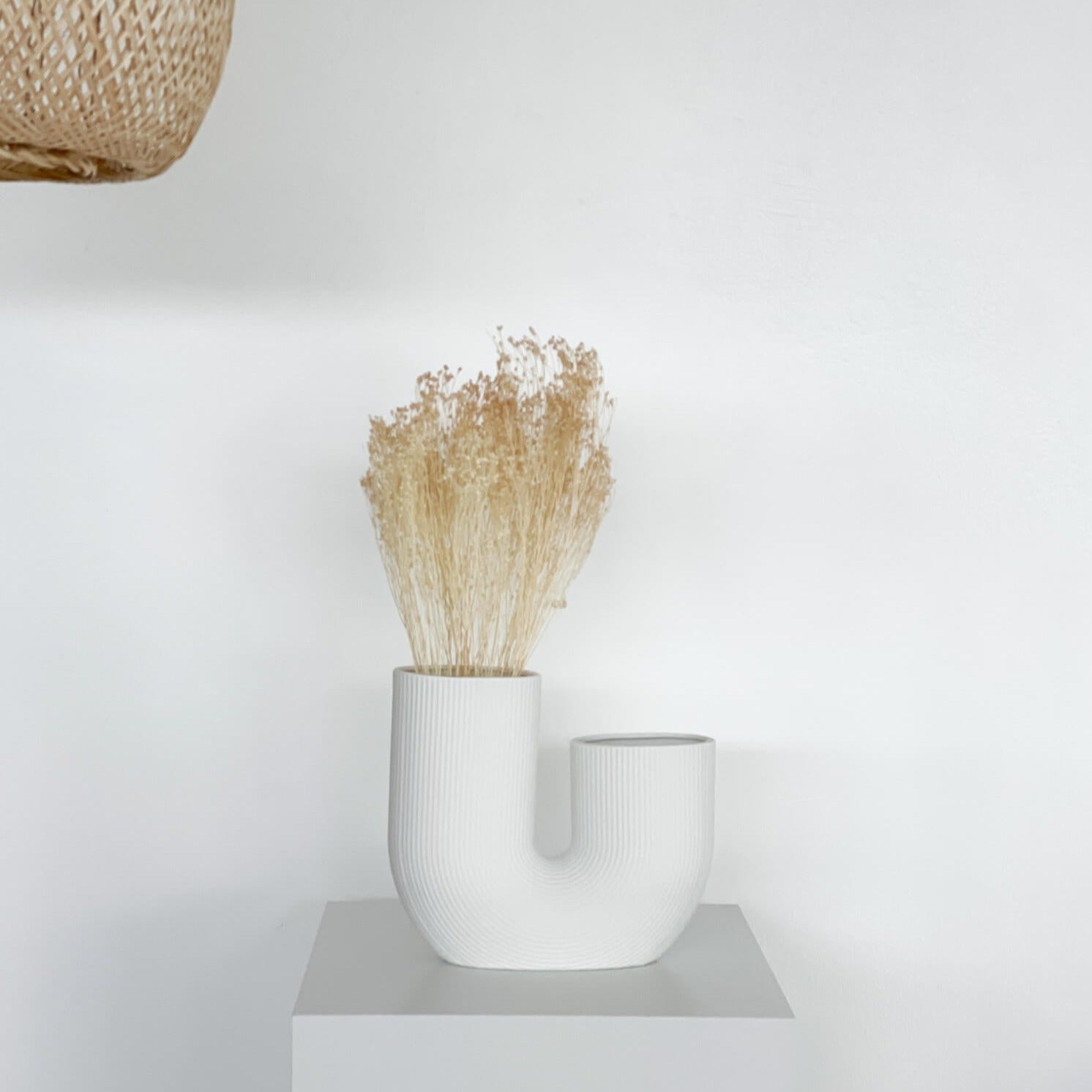 Broom Bloom - ein Bund