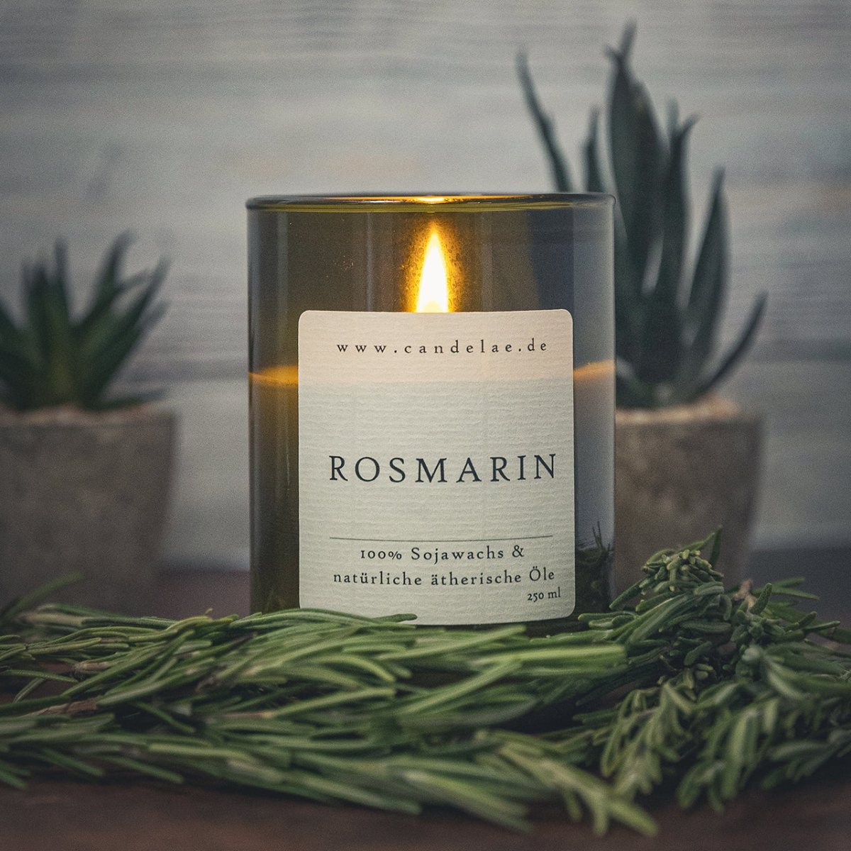 Rosmarin - Entspannung & Wohlbefinden mit unserer 100% Natürlichen Duftkerze - Candelae Duftkerzen