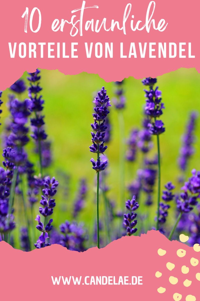 10 Vorteile von Lavendel: Entspannung und Wohlbefinden mit unserer handgemachten Lavendel-Duftkerze - Candelae Duftkerzen