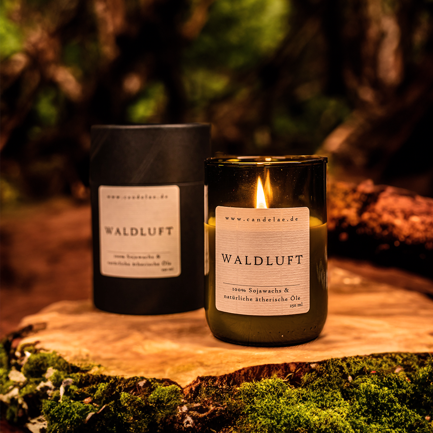 Die Duftkerze ‚Waldluft‘ von Candelae, aus recyceltem Glas und Sojawachs, präsentiert in einer natürlichen Waldkulisse mit Moos und eleganter Verpackung.