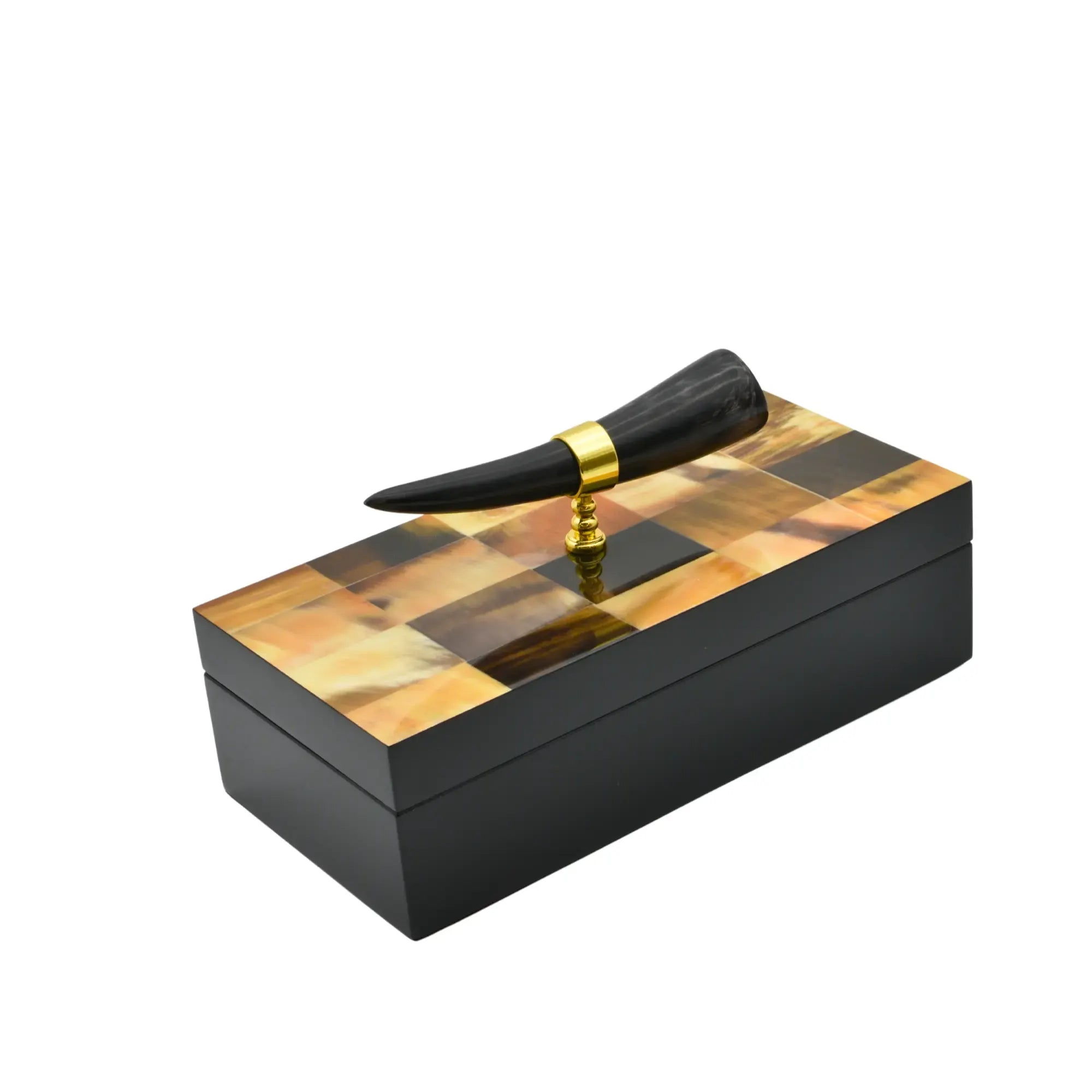 Holzkästchen - rechteckig mit Deckel - Design Aufbewahrungsbox Horn-Deko Schmuckkasten Evidenza