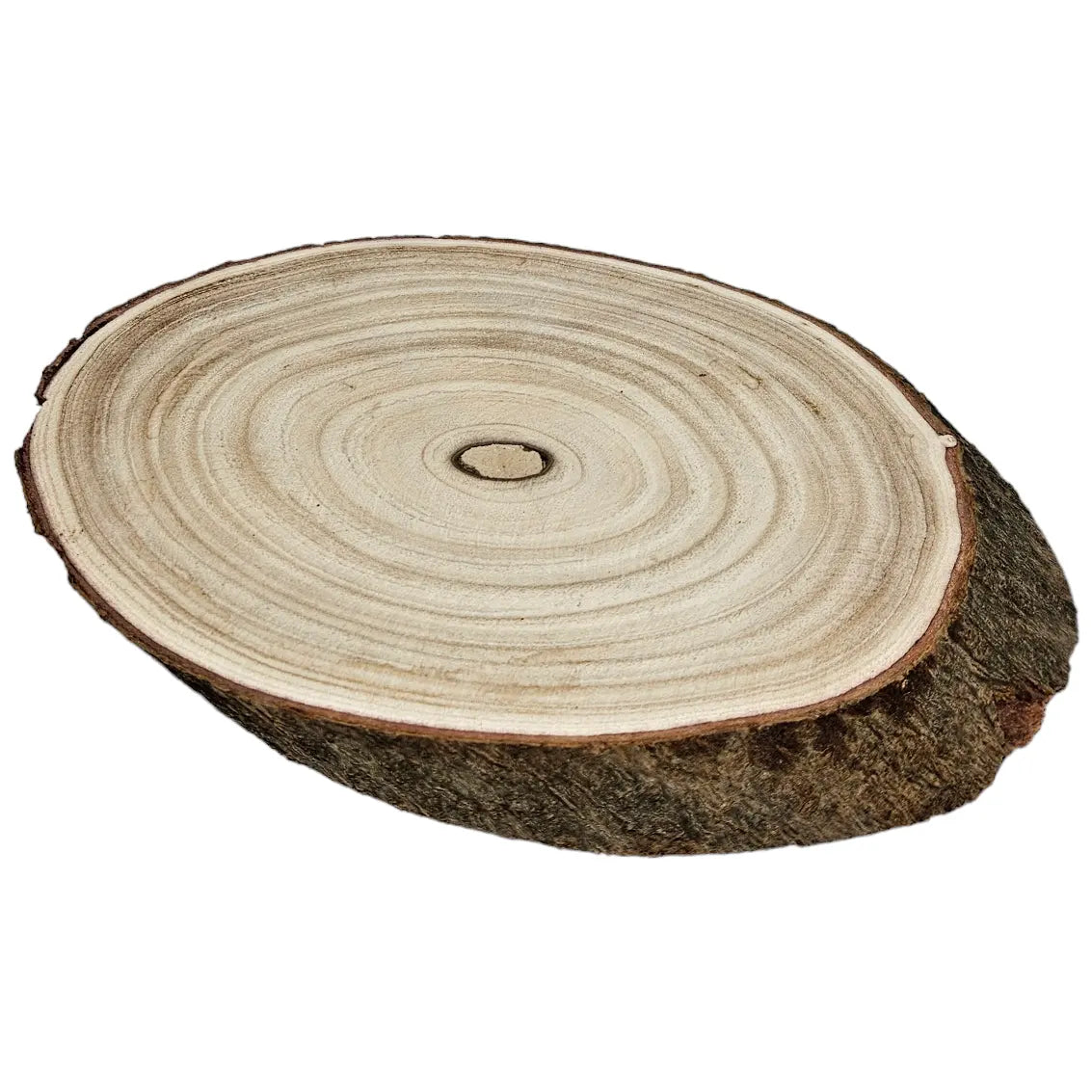 Holz-Baumscheibe Ø 20–23 cm – Ovales Dekobrett aus Naturholz für Tischdeko & Wohnaccessoires