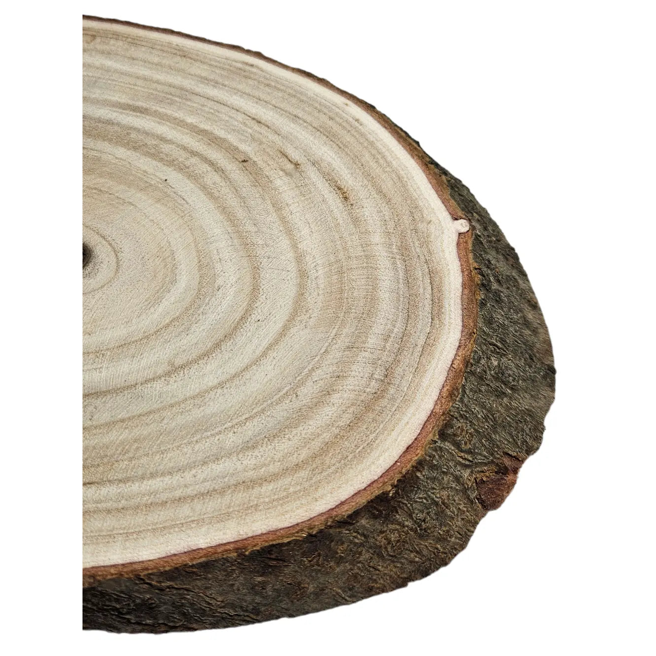 Holz-Baumscheibe Ø 20–23 cm – Ovales Dekobrett aus Naturholz für Tischdeko & Wohnaccessoires