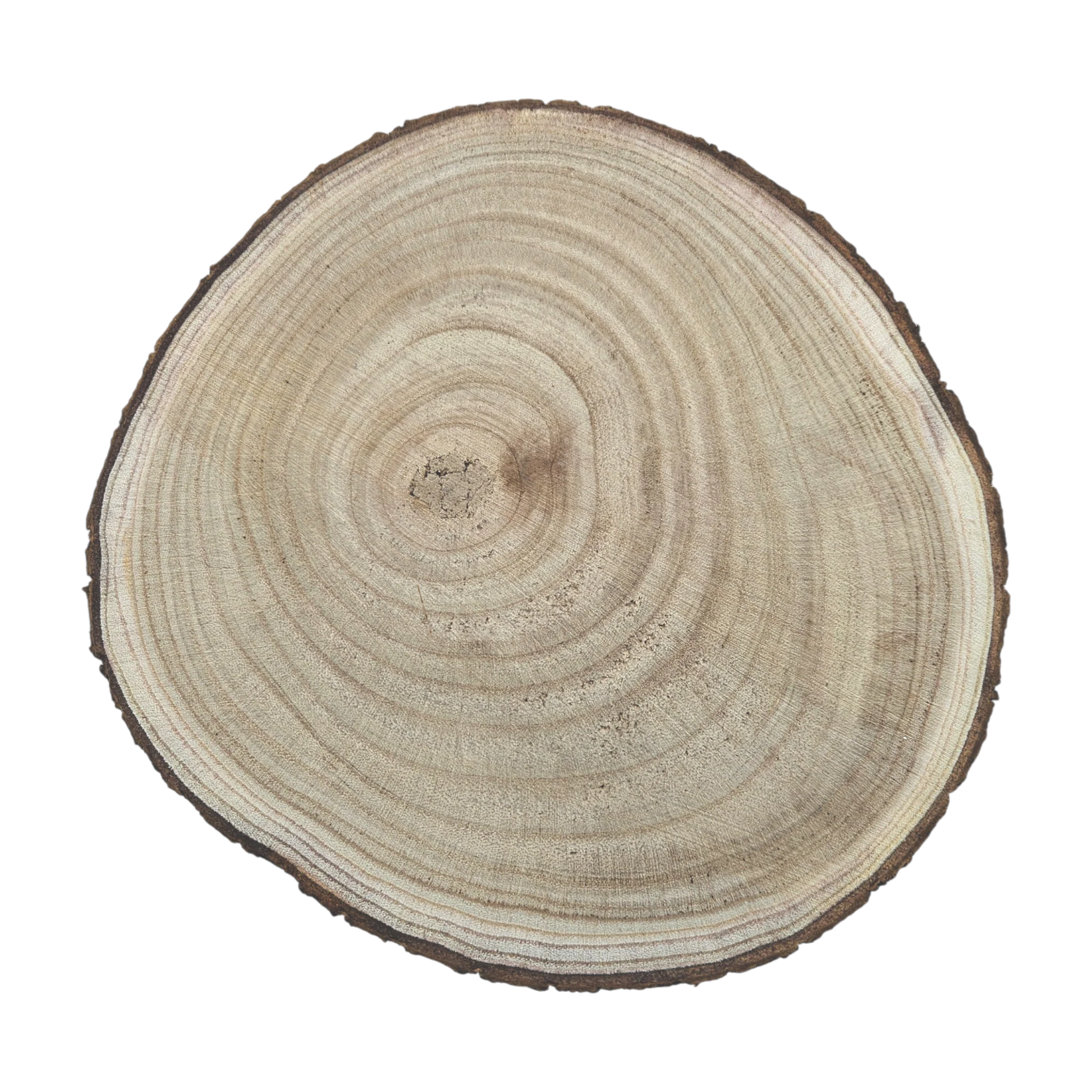 Baumscheibe auf Füßen Kerzentablett natur Baumrinde rund 20-26 cm Pflanzenständer