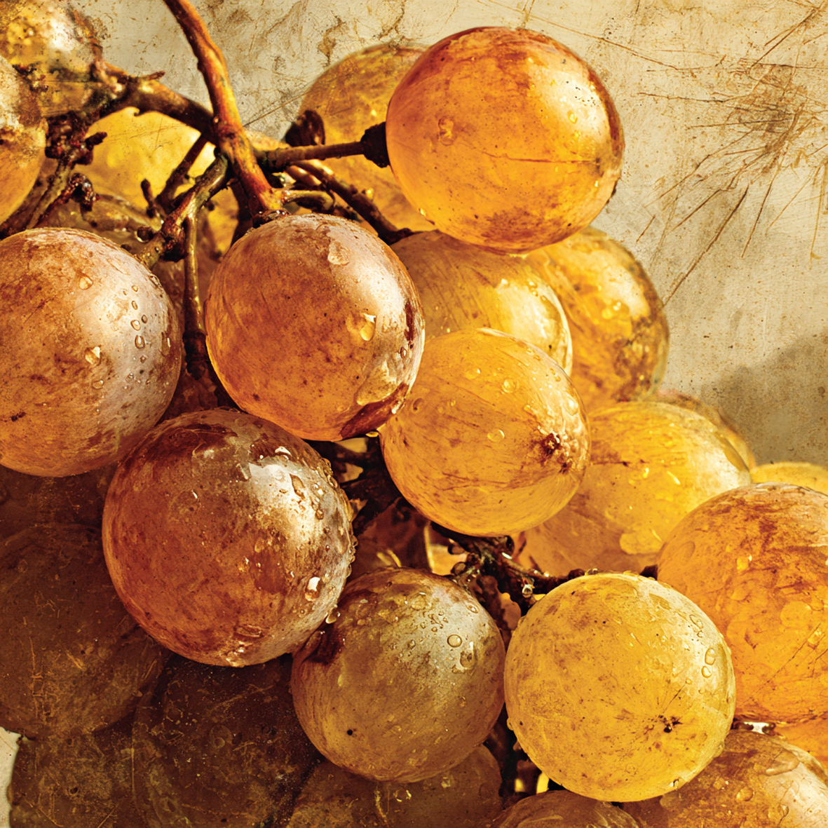 Vermentino – Mediterranes Kunstwerk auf Travertin