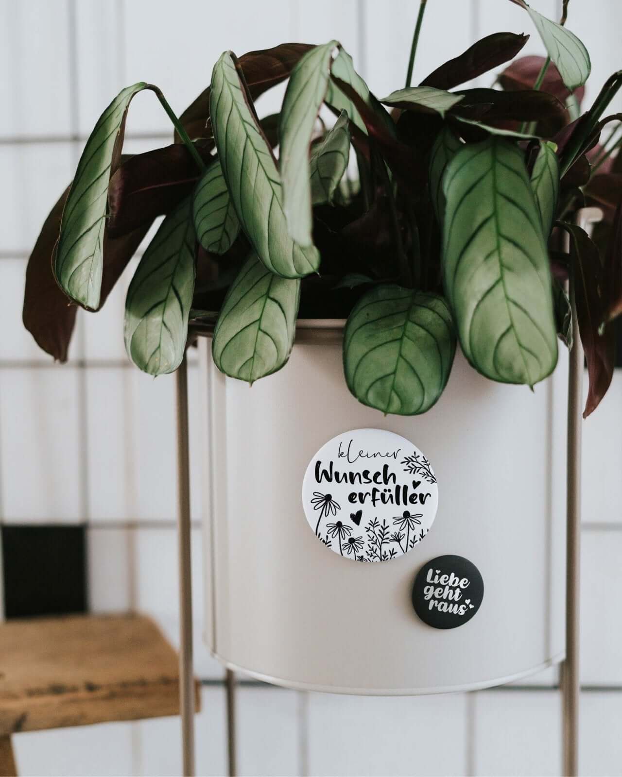 Wunscherfüller · Magnet · groß