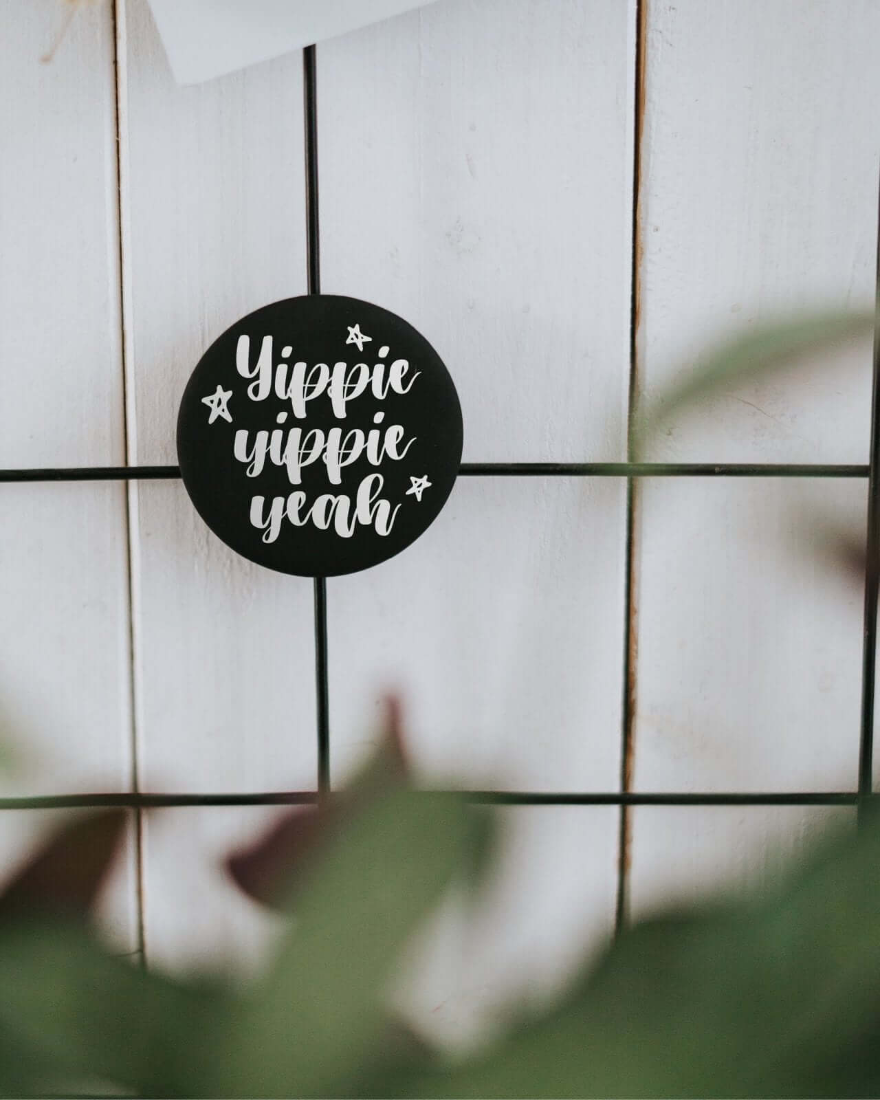 Yippie yeah · Magnet · klein