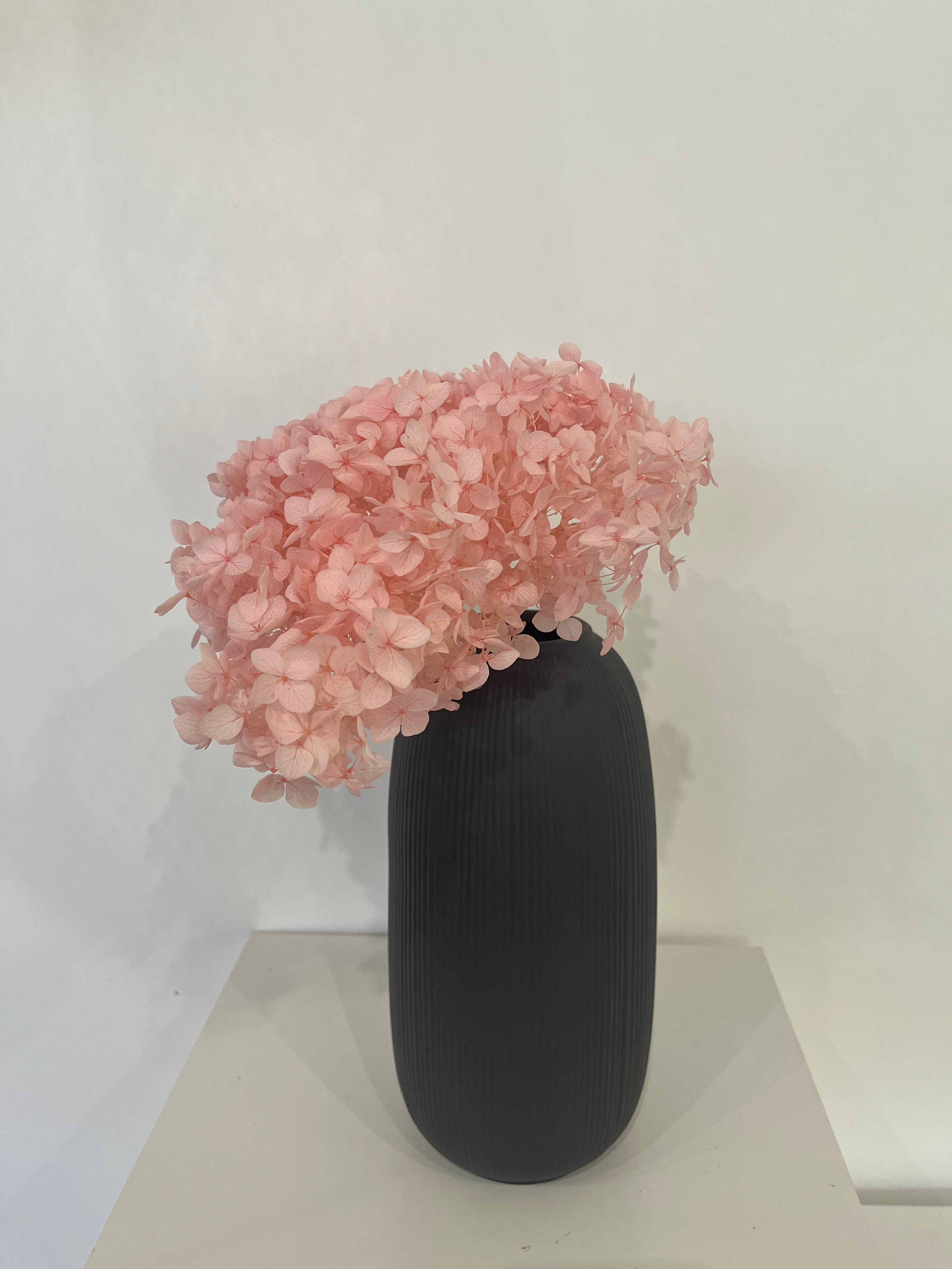 Rispenhortensie: Zeitlose Schönheit, konservierte Hortensien als perfekte Dekoration